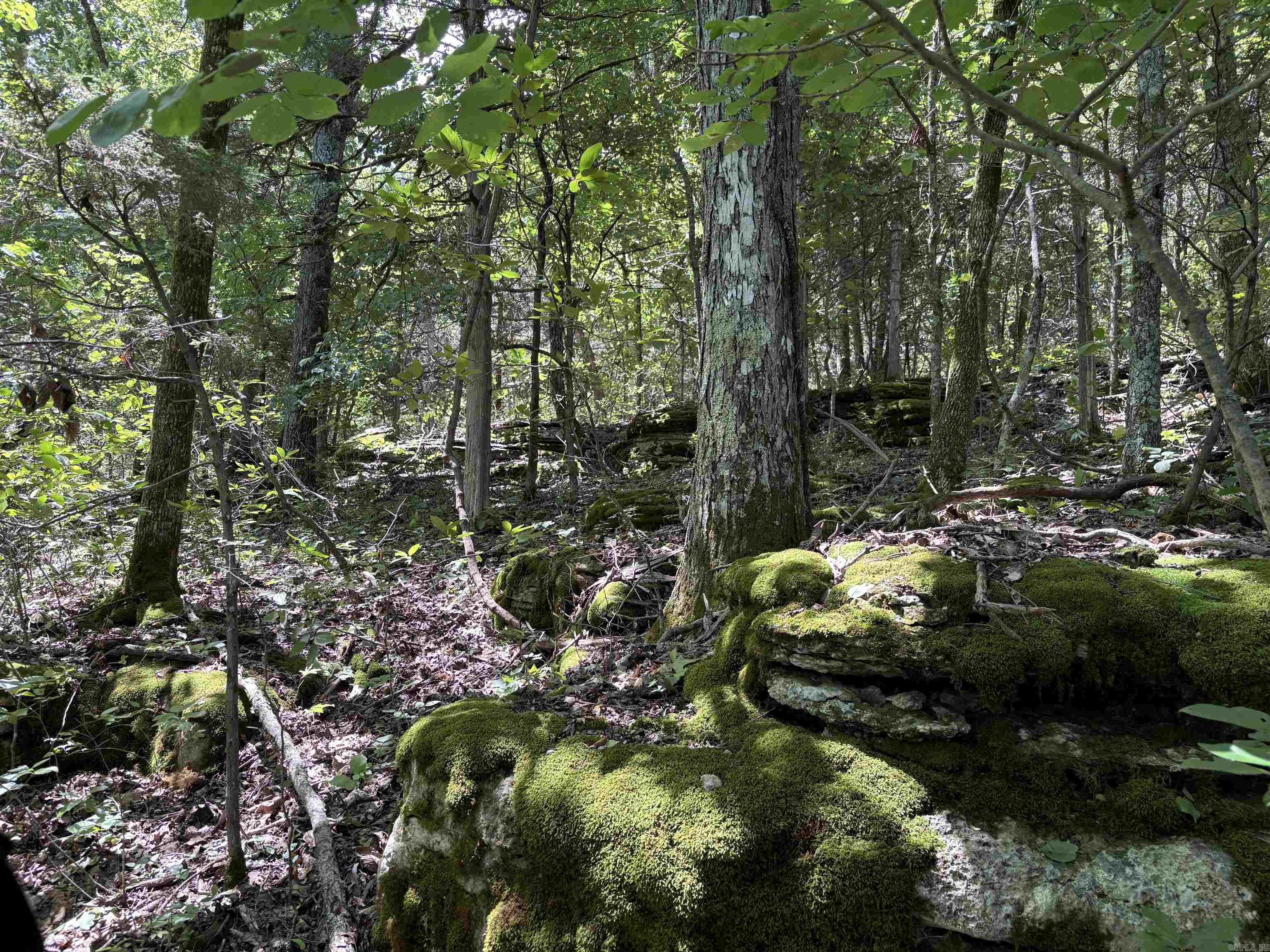 Not in Subdivision - Land