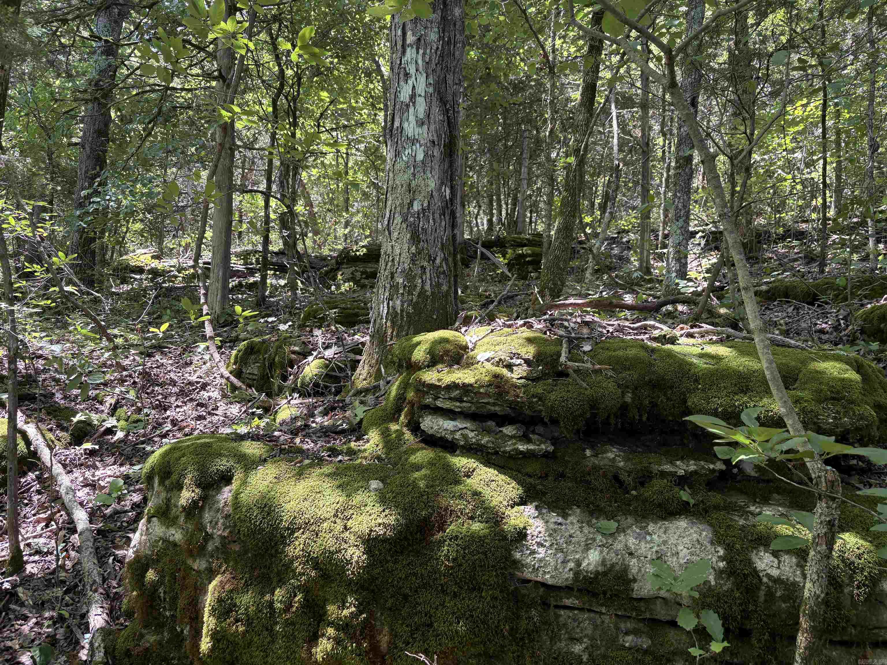 Not in Subdivision - Land