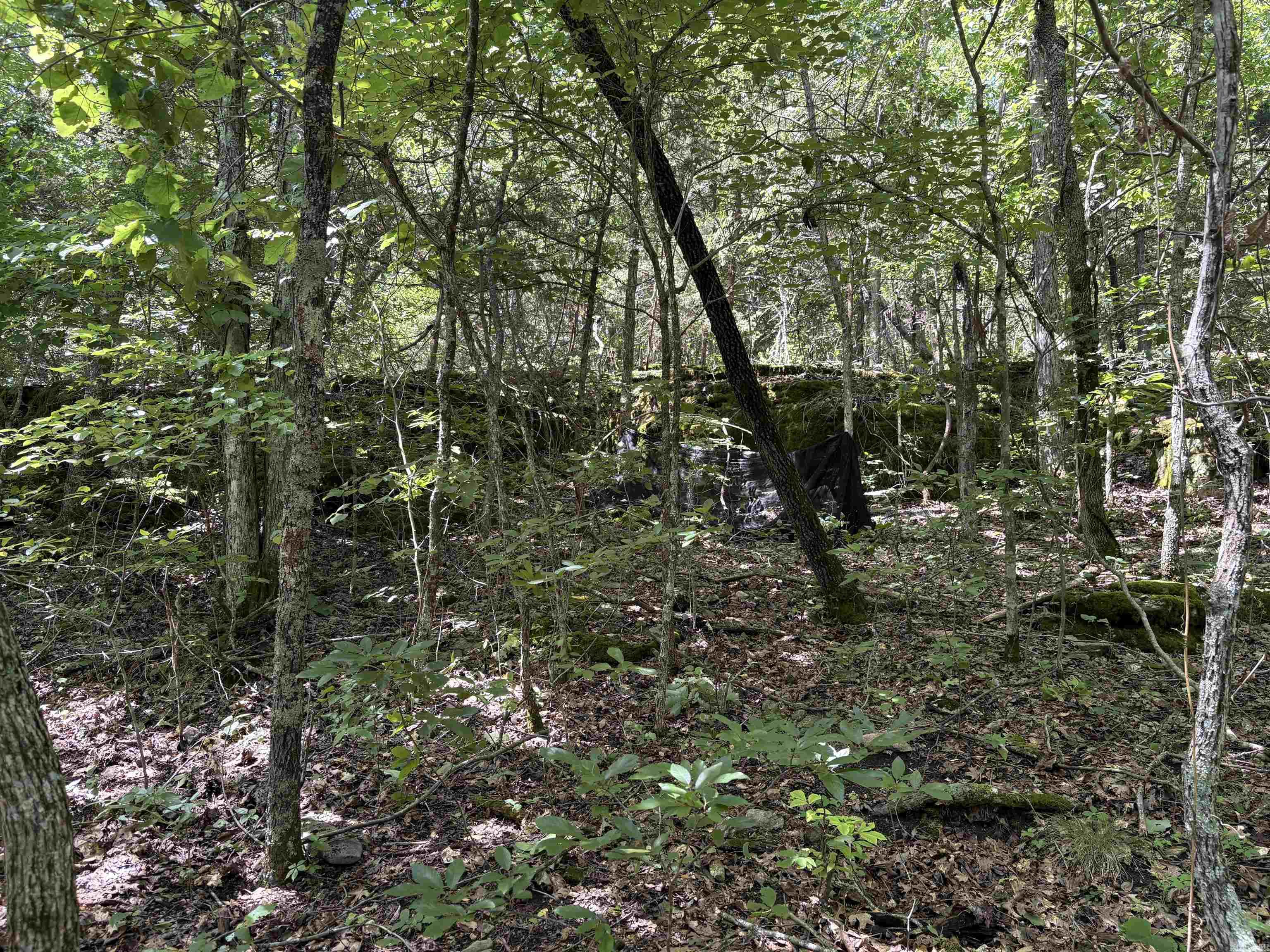 Not in Subdivision - Land