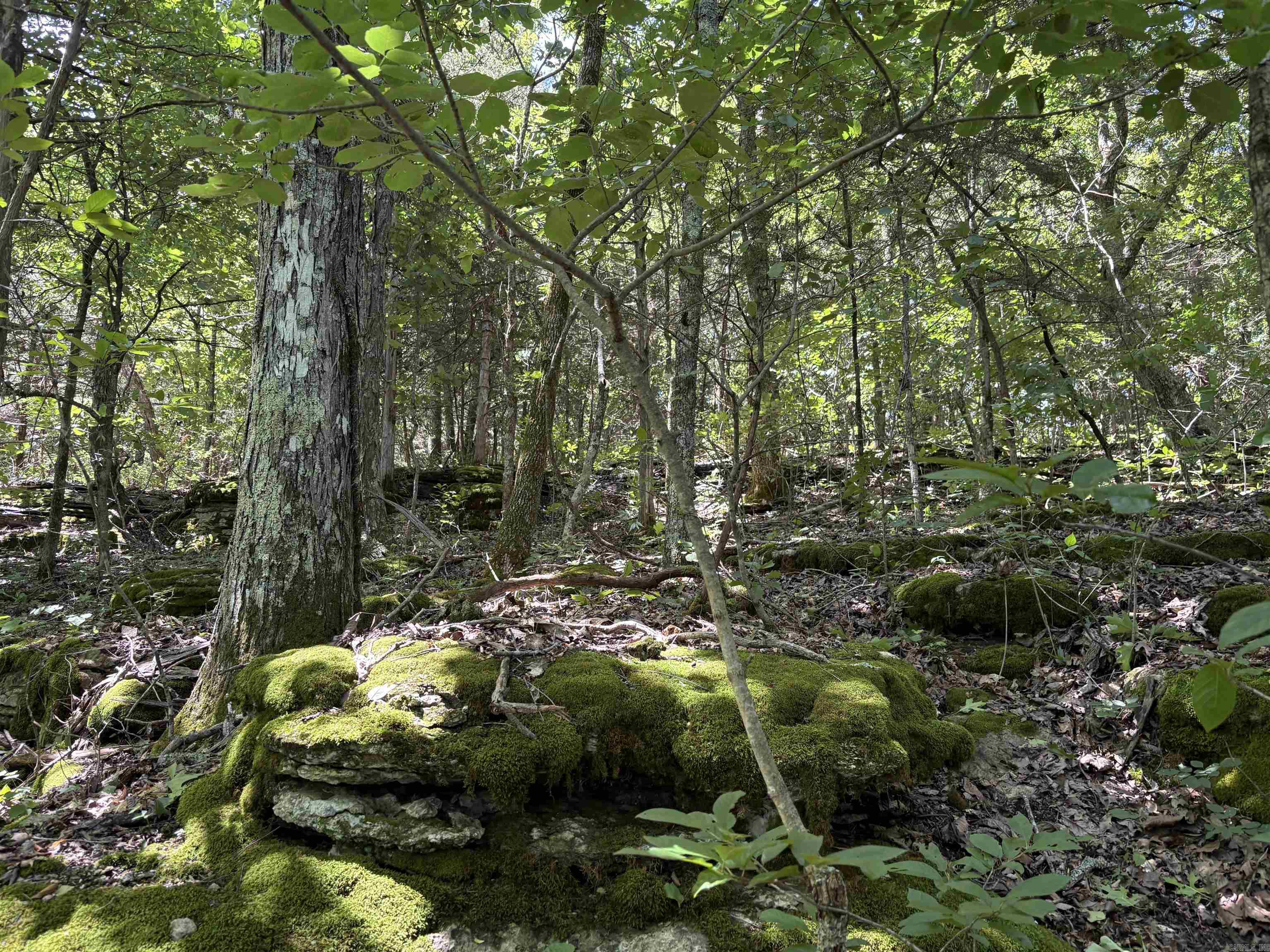 Not in Subdivision - Land