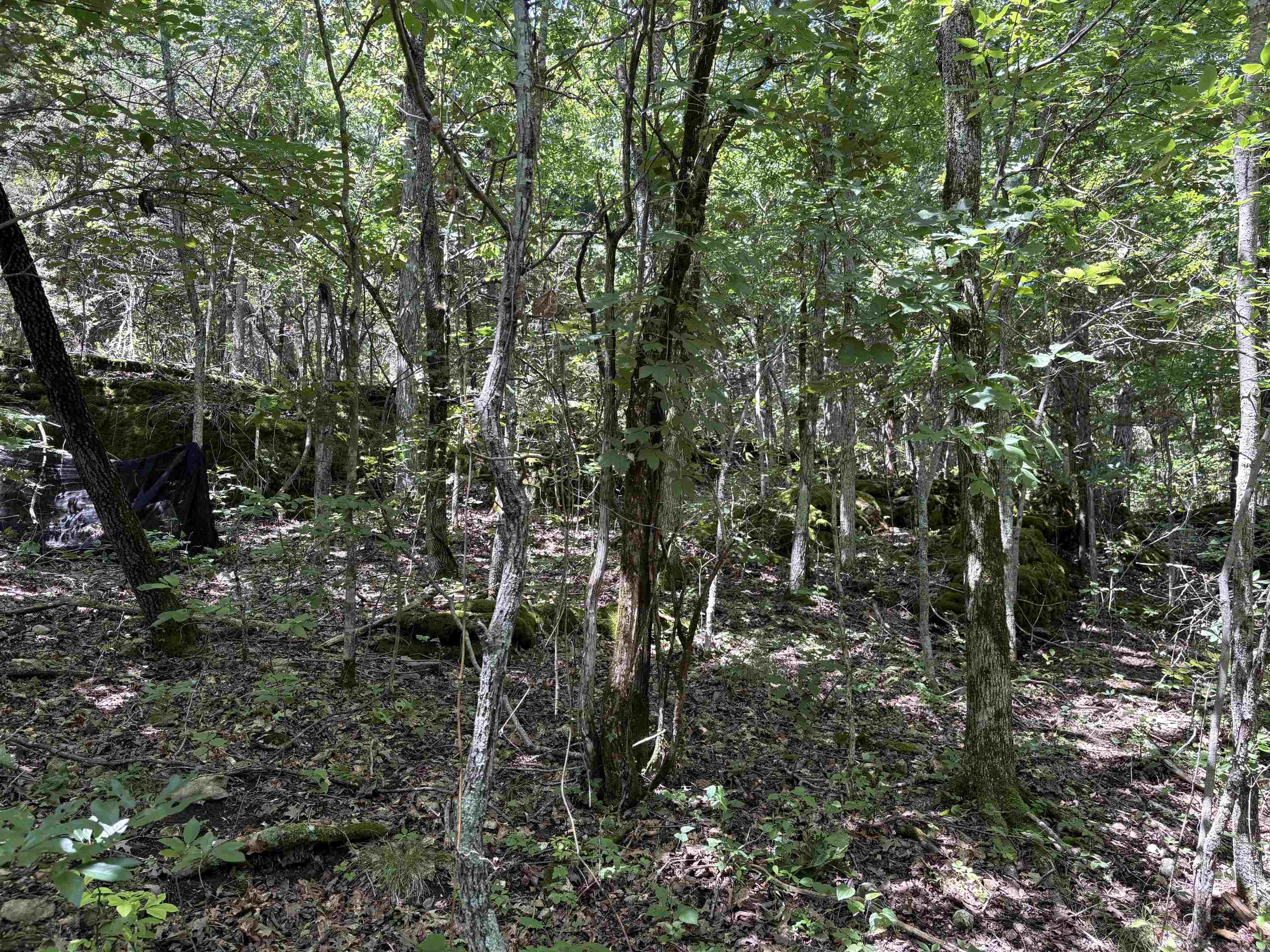 Not in Subdivision - Land