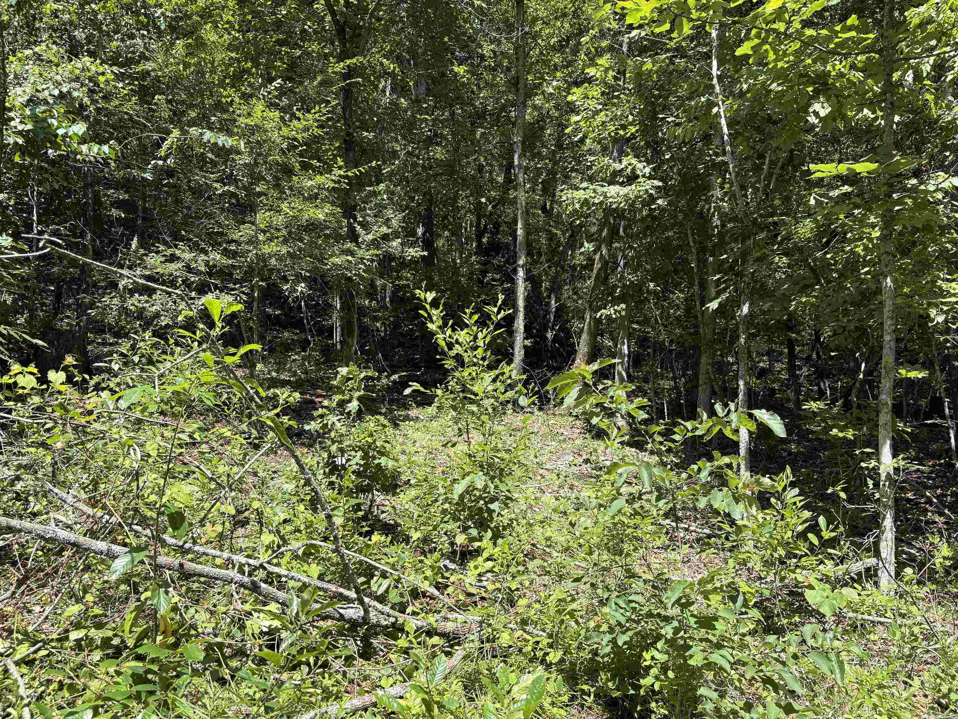 Not in Subdivision - Land