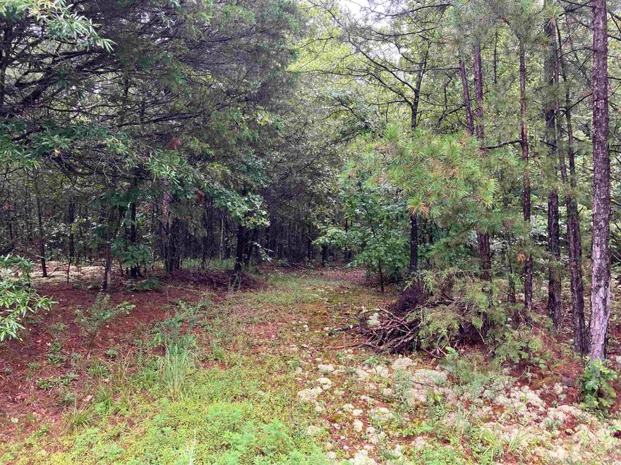 Tract 1. 3 acres M/L close to Pencil Bluff. 5 minute walk to deeded easement to Ouachita River or ride your 4 wheeler or side by side. Great place to swim, picnic, or just take it easy! This wooded property is ready for your dream home to be built! 10 minutes to hiking/biking trailhead. 20 minutes to Lake Ouachita. 50 minutes to Hot Springs. If you are looking for quite,  wooded place to build, this is it. No mobile homes or manufactured homes. No commercial activity.