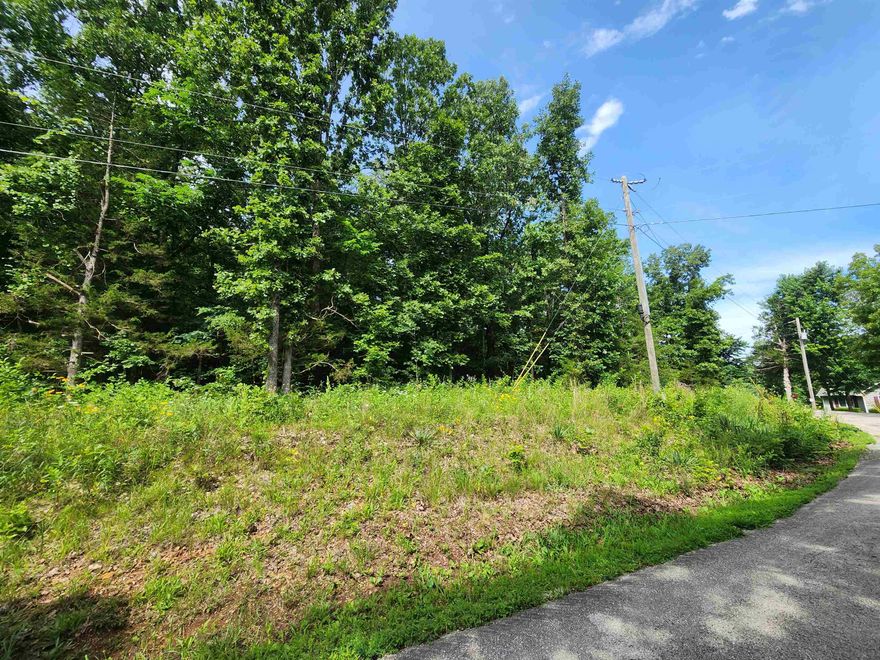 Lake Omaha, LAKE-VIEW LOT. Absolutely goregous location for your forever home or get away vacation home.Come see the view from the point where this wonderful, wooded, lake-view lot on Beautiful Lake Omaha in Cherokee Village is located. Lake Omaha offers 142 acres of freshwater fishing, skiing and boating. Come pick out your building spot for your new home on this lot with wonderful views of the sunrise over lake Omaha. Over a 1/3 of an acre to build your forever home. Don't forget that Cherokee Village has 6 other lakes and the Southfork River flowing through it. And not one but two 18-hole golf courses to hone your game or just spend the day with friends or family.