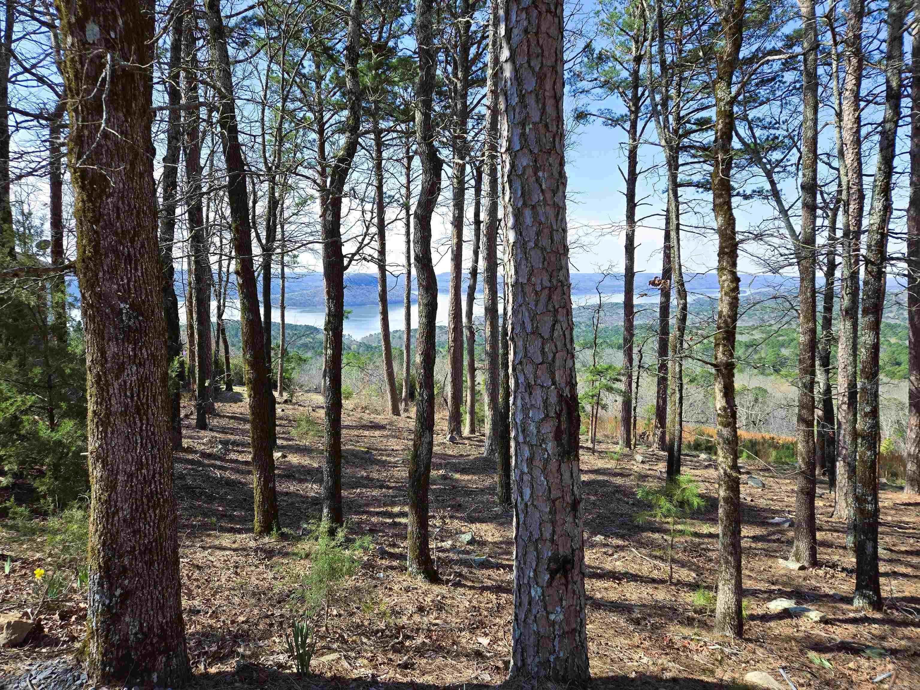 Eagle Ridge - Land