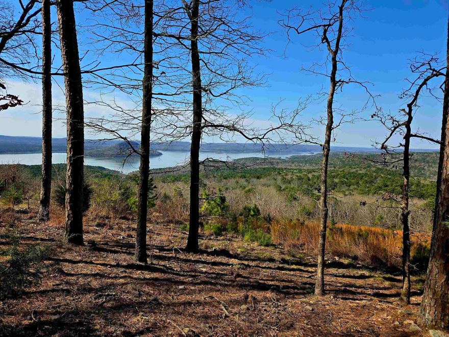 This vacant lot offers breathtaking, unobstructed views of Greers Ferry Lake, creating the perfect backdrop for your dream home or vacation retreat. Surrounded by natural beauty, you'll have access to endless outdoor activities, including hiking, fishing, boating, and golfing. Don’t miss this rare opportunity to own a private lakeview escape!