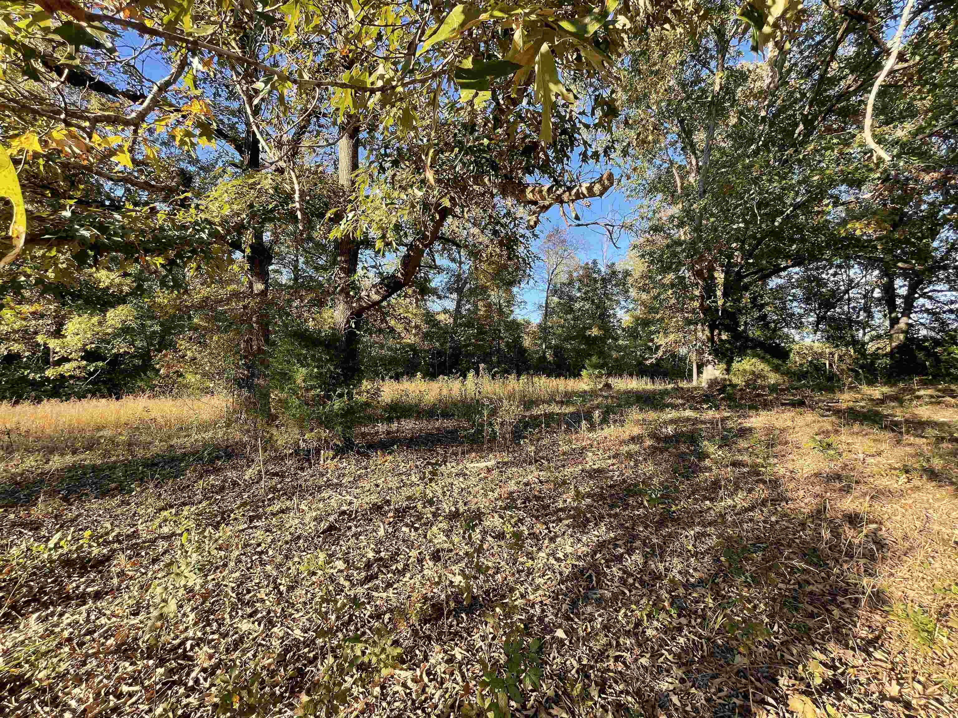 Metes & Bounds - Land