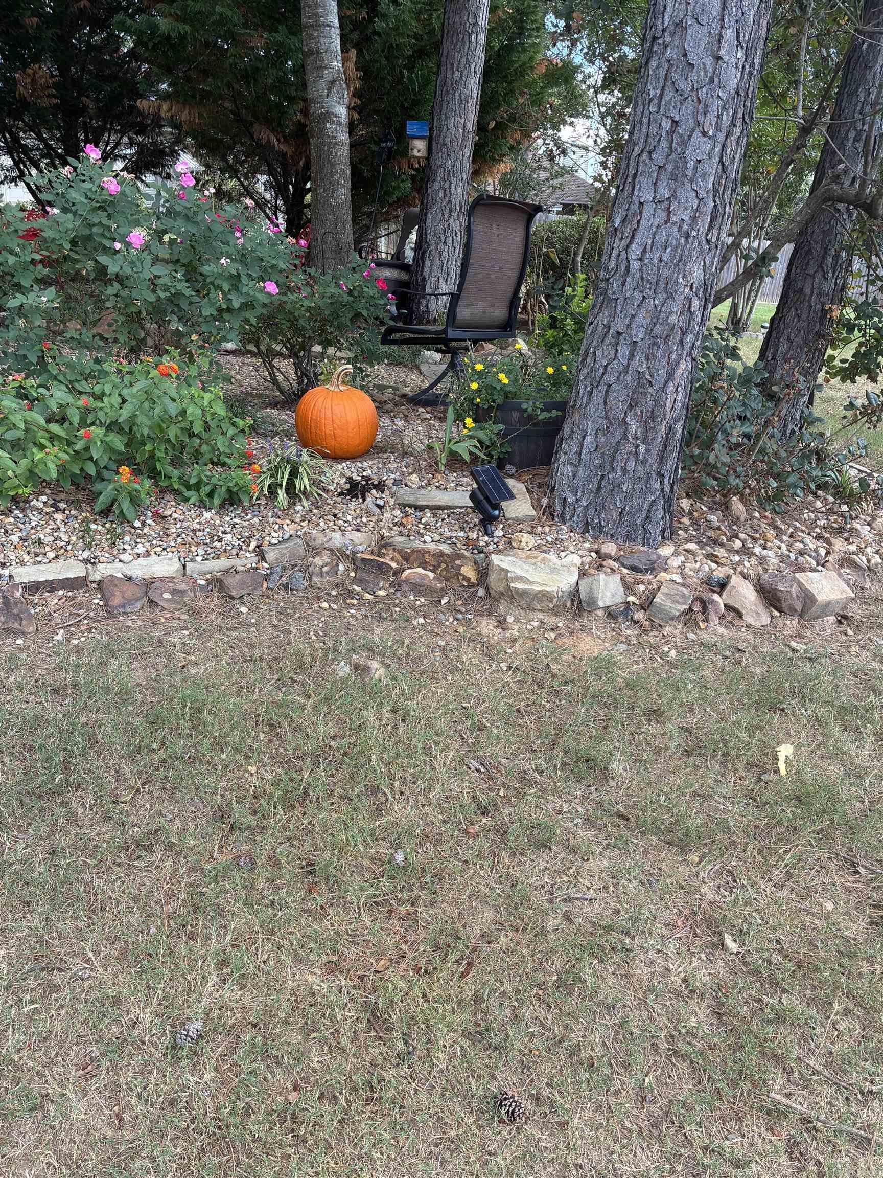 GARDEN OAKS ADDN - Residential