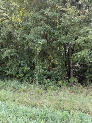 US-167, HENSLEY, AR 72065 - Image 852acbd8a03b6435f723d9a88de54fda/2259601351