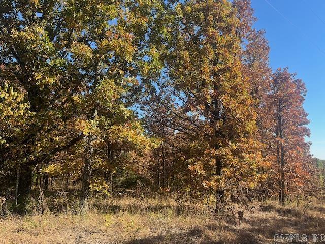 Build your dream home or create a hunting retreat on this almost 56 acres Of land in Faulkner County. Located just a short drive from Conway for all Your shopping, dinning and entertainment needs. The most wooded property features mature timber which includes a pathway/old driveway to a 2 acre clearing, with plenty of potential for residential development or just a Weekend getaway cabin.