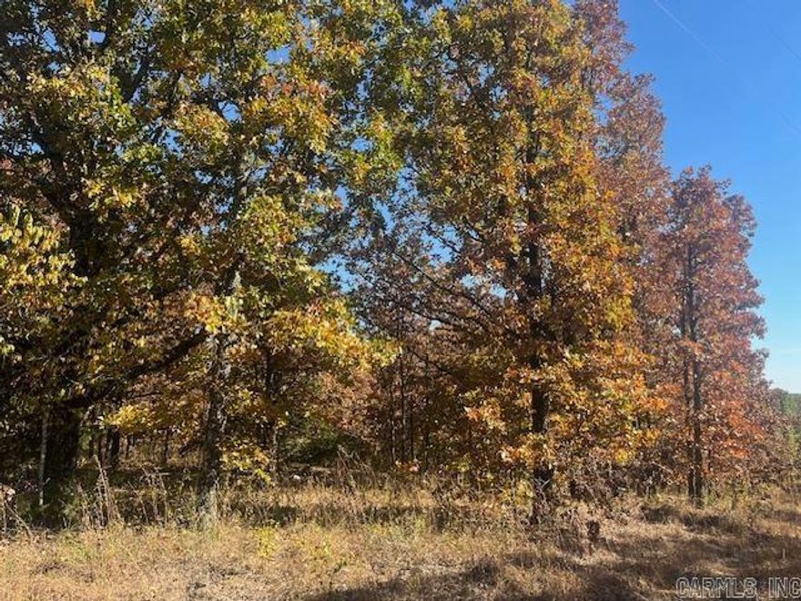 Build your dream home or create a hunting retreat on this almost 56 acres Of land in Faulkner County. Located just a short drive from Conway for all Your shopping, dinning and entertainment needs. The most wooded property features mature timber which includes a pathway/old driveway to a 2 acre clearing, with plenty of potential for residential development or just a Weekend getaway cabin.