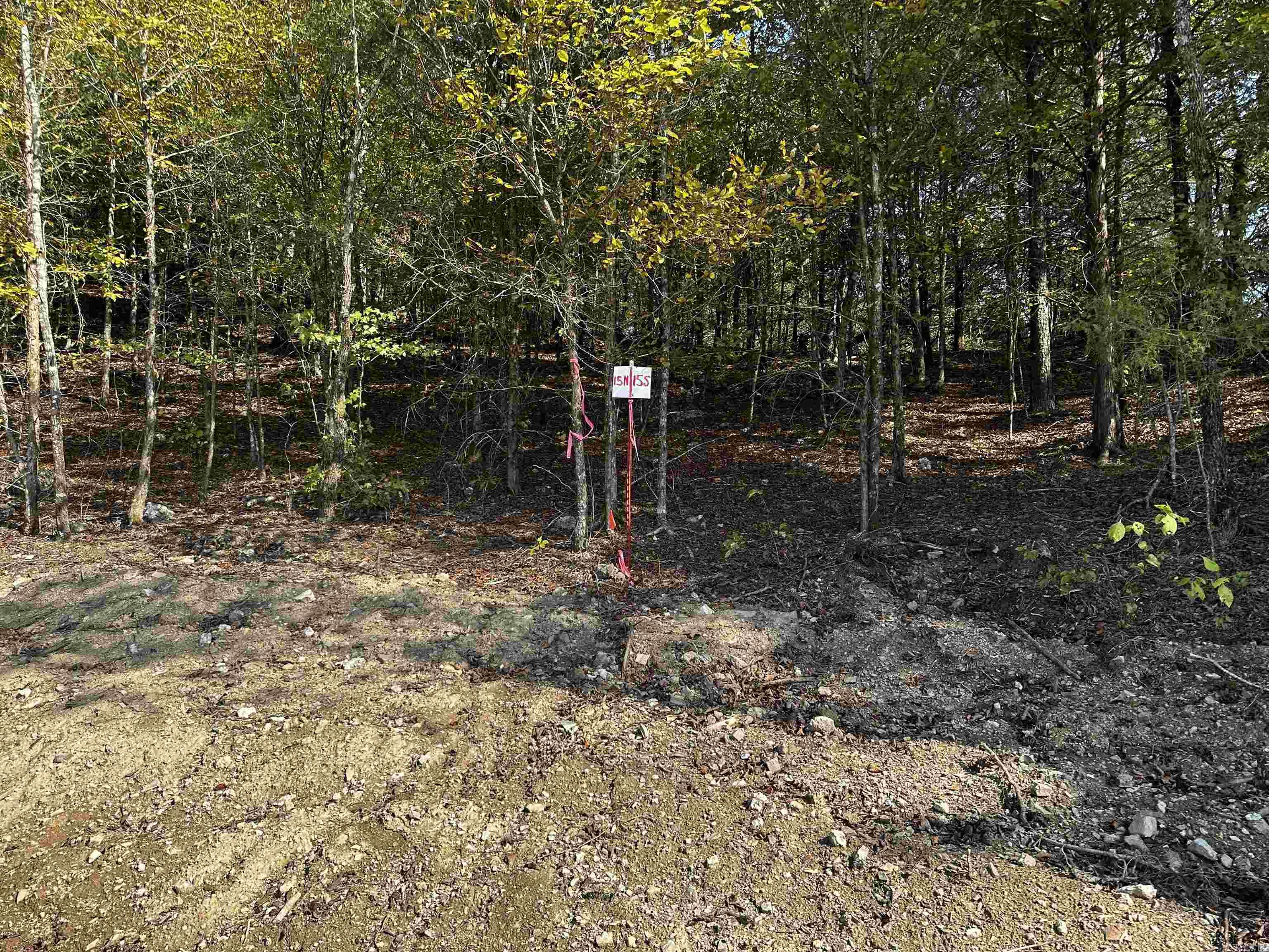 Secluded with incredible views from "the Roost". This lot is situated in the Northeast corner of Reva's Retreat which is surrounded by the National Forest and Irons Fork Creek, 1 mile N of Lake Ouachita + 2 mi. from Launching ramp. The beautiful 100 acre development offers seclusion, unblemished, back-to-nature, spacious lots - water frontage & River access w/some restrictions, incredible views, and underground electric. Fishing, kayaking, swimming, nature walks + trailhead for hiking are nearby, as well as amenities at HSV & Mt. Ida.