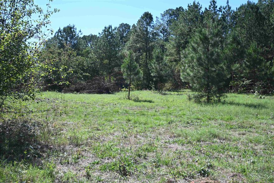 Great piece of property with a two small ponds and creek running through part of it. Great place to build a house and great community to raise your family in. Agent see remarks