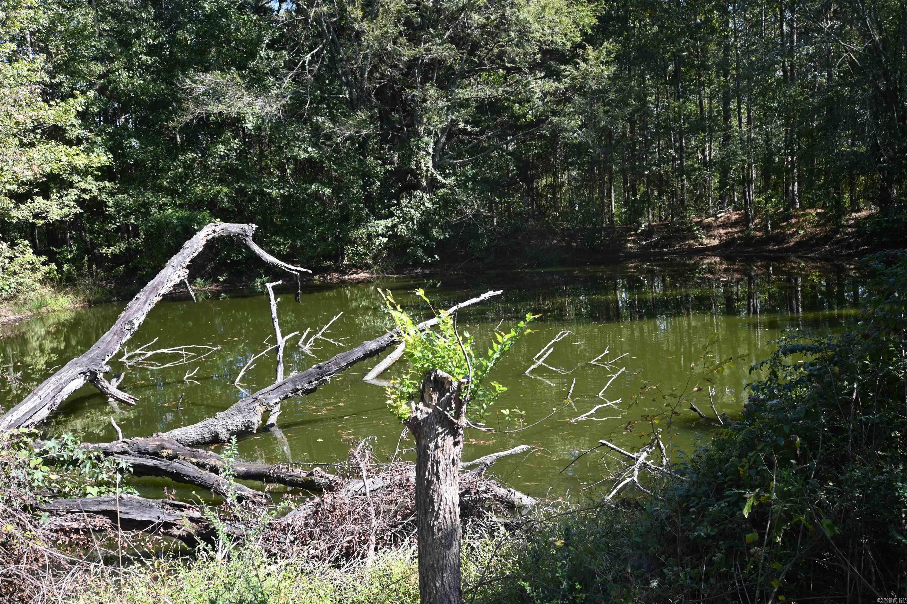 Metes & Bounds - Land