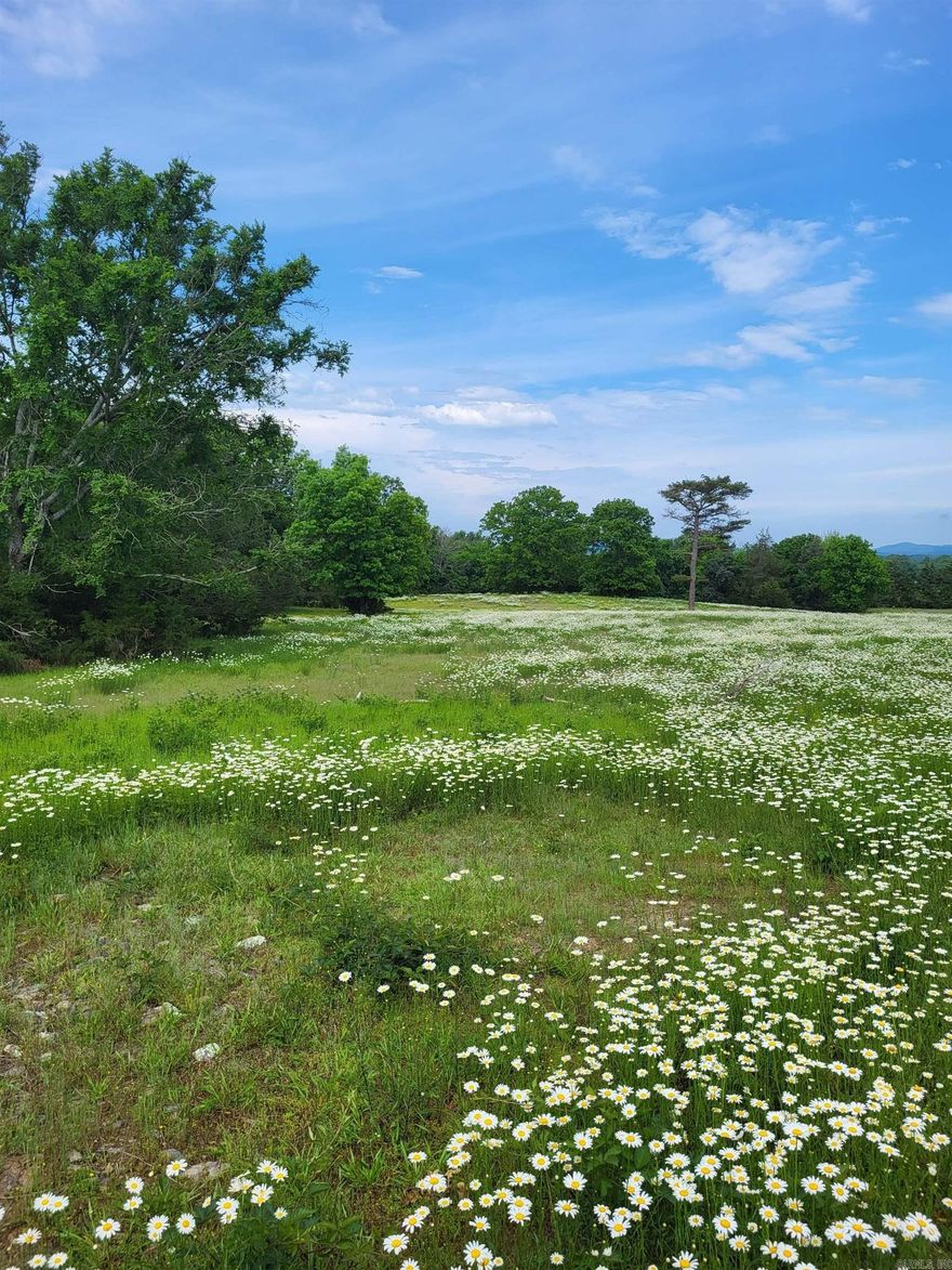 Open skies! This 40.26 acre tract is on Highway 88 between Pencil Bluff and Oden AR. Mostly pasture land but there are some trees.  There is a small pond feature and possibly a spring. Has a great view of the mountains.  1116 ft of highway frontage.  Totally fenced. City water is available across the road, and power is along the road. There are a couple of nice house places.  Current survey.  And you can see the stars forever at night. One mile to the Ouachita River.  Don't miss out on this beautiful place.