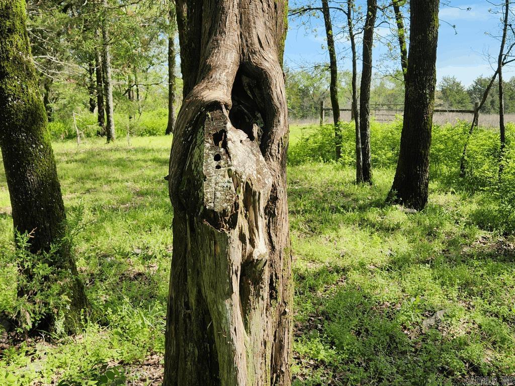 Metes & Bounds - Land