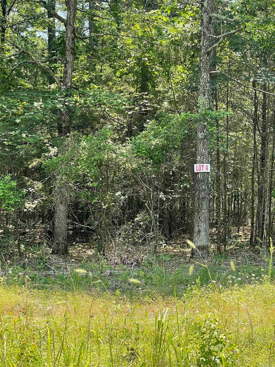 Nice flat lot. Mobiles ALLOWED!! There is a utility easement on the back side of property so no one can build on it. Cut the right trees for lots of privacy. Convenient to shopping in the town of Greers Ferry. This is a superb location for a vacation/weekend getaway or a permanent home. Lake access on Twin Coves just around the corner!!