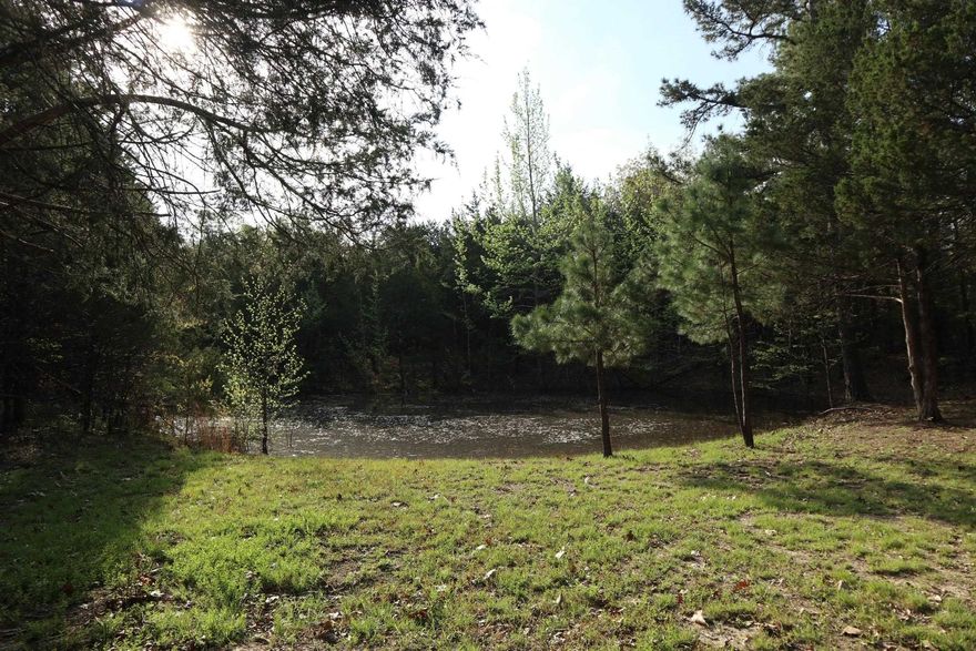 OZARKS ACREAGE AND BUILDING SITES FOR SALE SALEM ARKANSAS.   Property is located at 5618 Byron Rd, Salem, AR. This property has 17.9 acres located on paved county road just a few minutes from Salem. The property is mostly wooded and has a variety of oak and cedar timber. The property has electricity, fiber internet and rural water located on the property. There is an abundance of wildlife including whitetail deer. Also includes a small pond. This property has good development potential with the water and electricity available. It also includes a 14 x 24 mini house that is not finished inside. It could easily be finished as a mini house or cabin. There is also a 8 x 40 shipping container for storage. Lake Norfork is about 15 minutes away and the property could be used to park your campers or motor home for a recreation property. Seller is also offering to sell tractor, equipment and camper. The real estate taxes last year were $185.15.