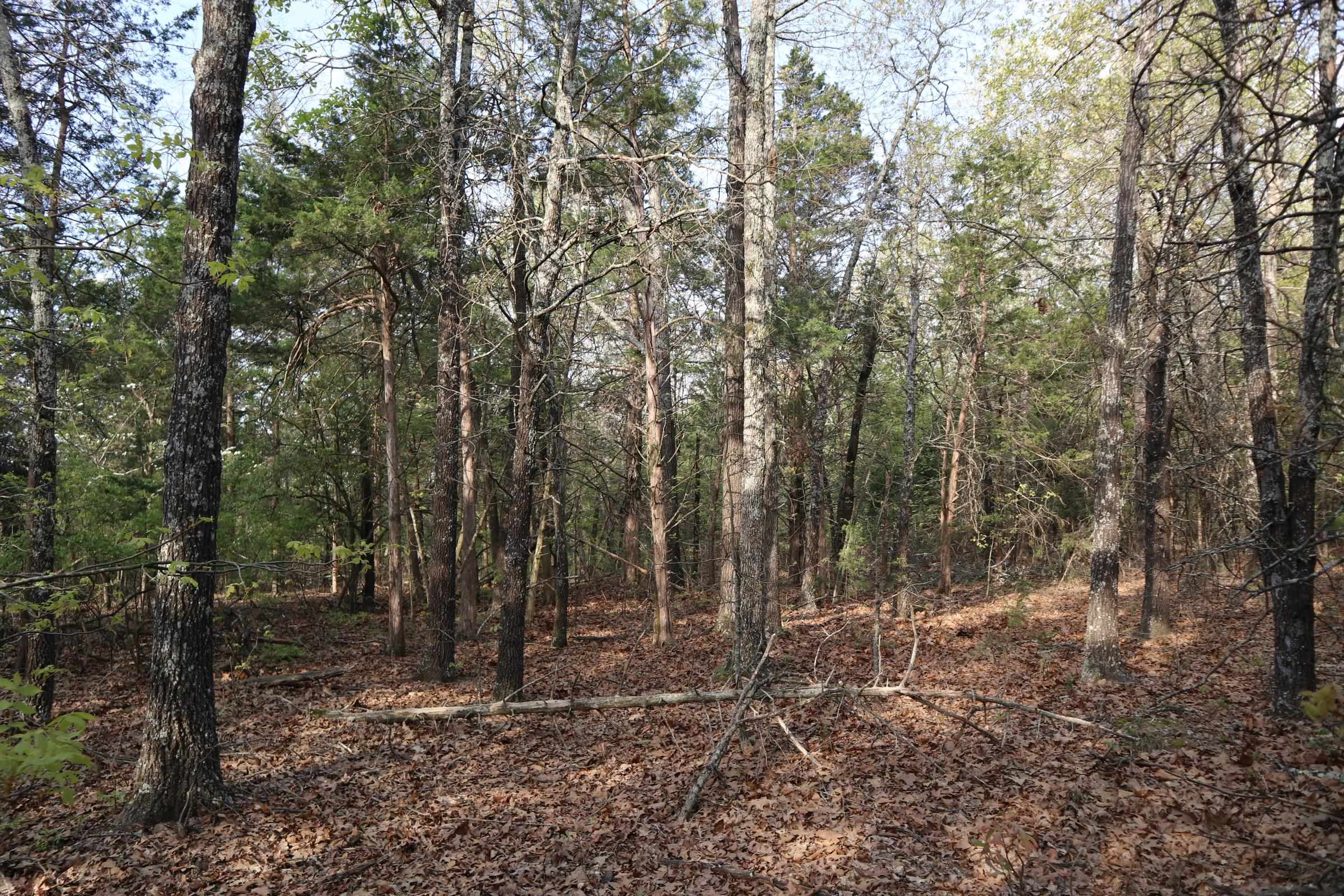 Metes & Bounds - Land