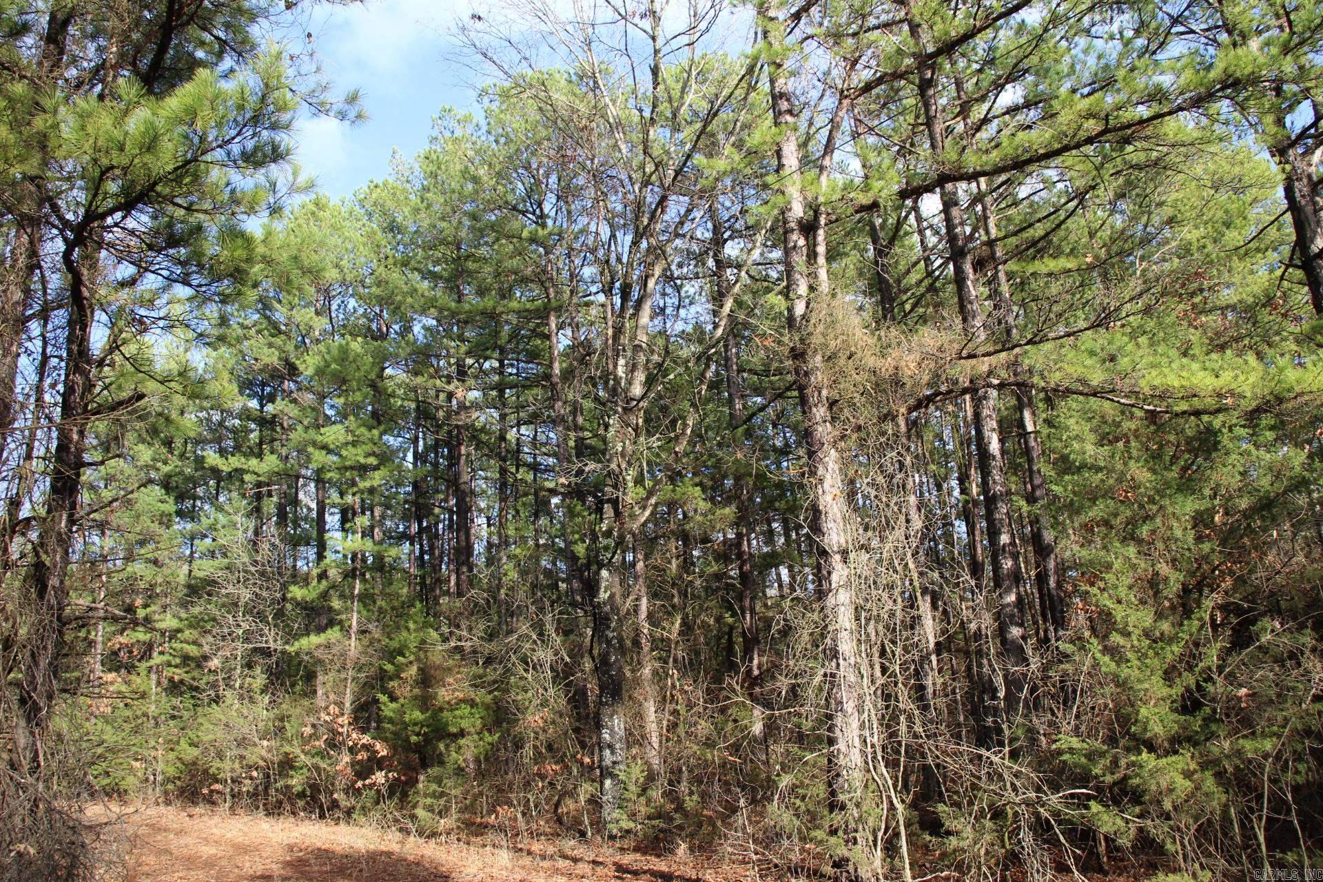 This wooded tract of land in the beautiful Ozarks is ready for you to build on. Tucked in the mountain side, it offers some large pines and hard woods, easy access with county road frontage and is less than 4 miles to town. With some clearing there is enough level to gentle sloping ground to have a mini farm or snuggle back up to the mountain and build your home and be surrounded by wooded privacy. Power is available along the county road. Well and septic will be needed.
