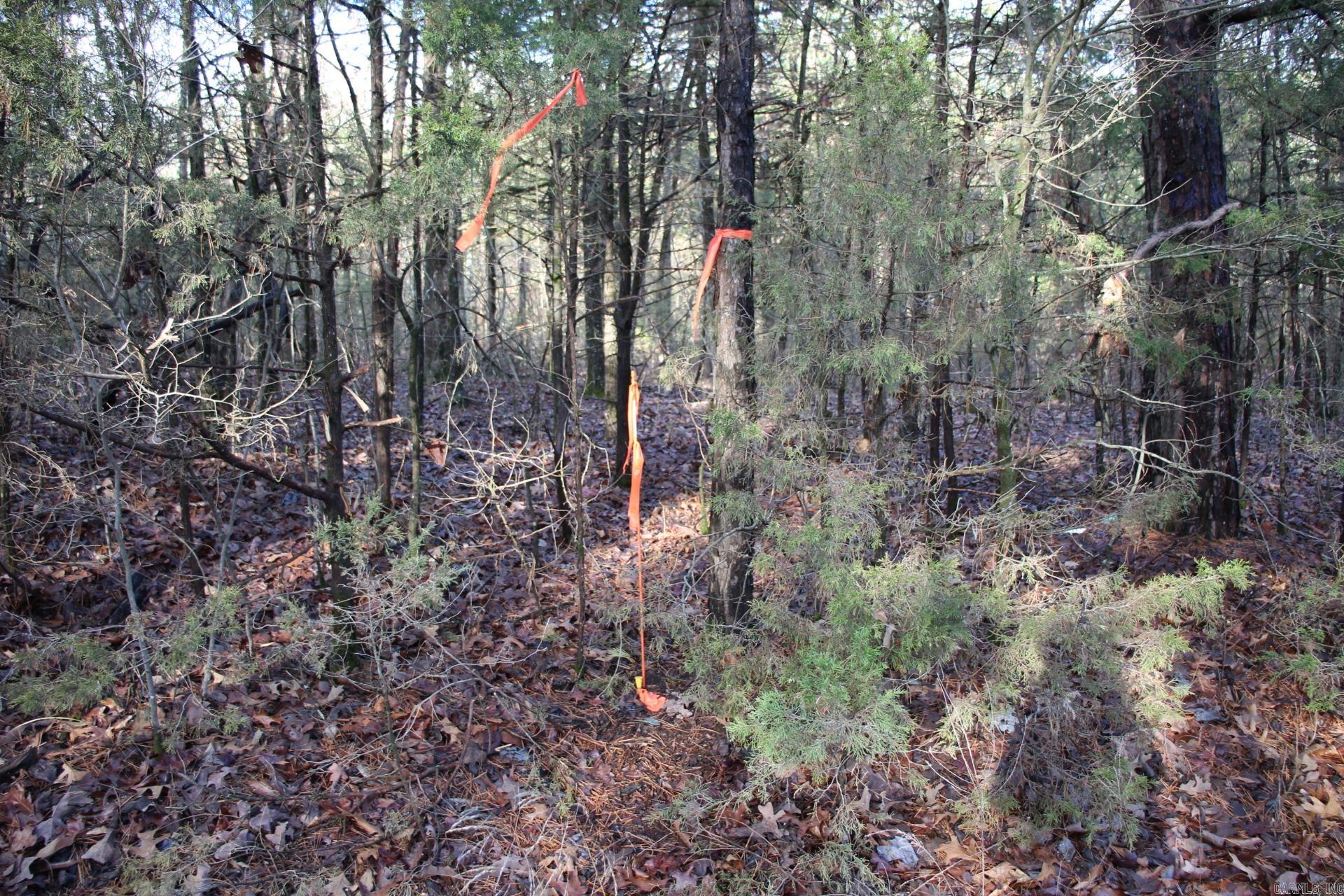 Not in Subdivision - Land