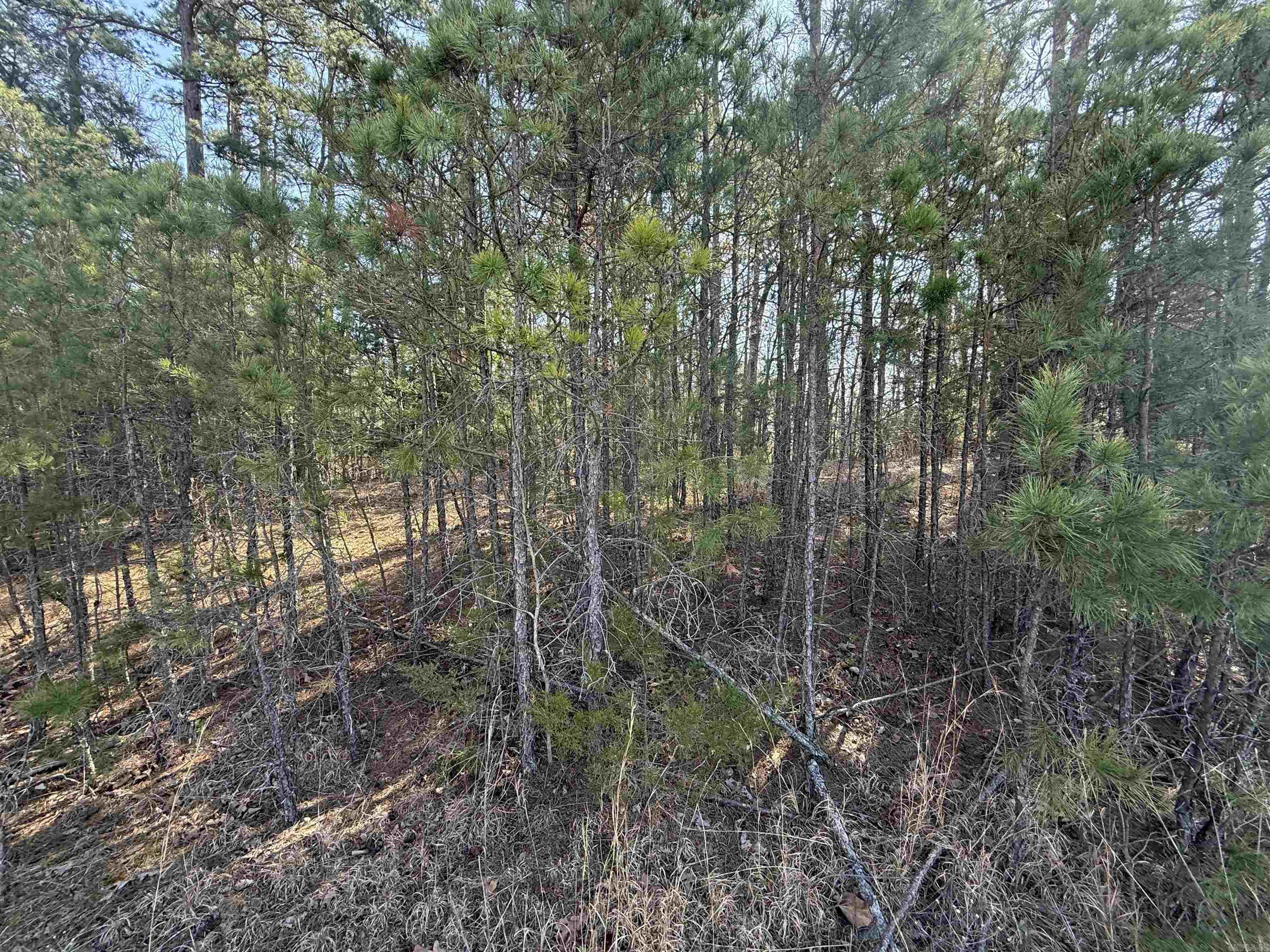 ROSE BUD OUTLOTS - Land