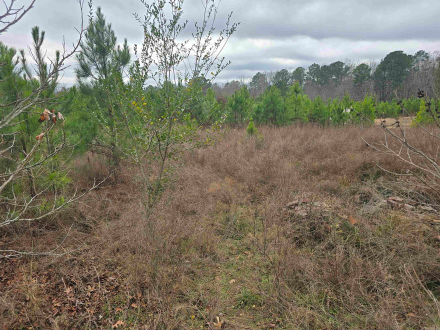 .4 Acre, undeveloped in established neighborhood in Lakeside School District. Right over city limits line. Unrestricted in a USDA eligible area! Utilities nearby. Mobiles allowed. Agents see remarks