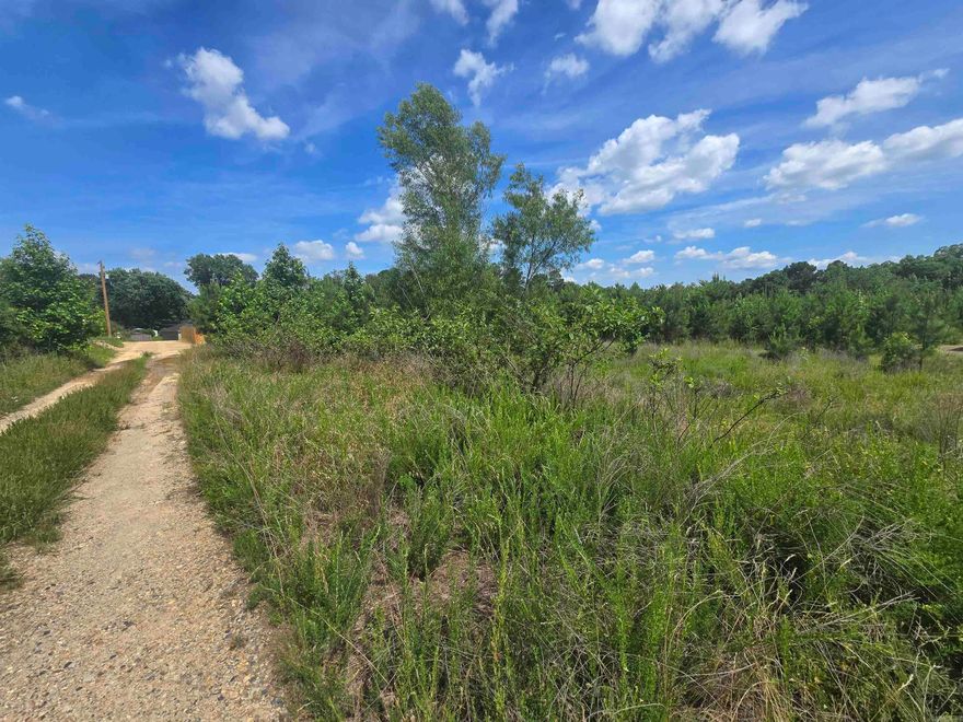 .4 Acre, undeveloped in established neighborhood in Lakeside School District. Right over city limits line. Unrestricted in a USDA eligible area! Utilities nearby. Mobiles allowed. Agents see remarks