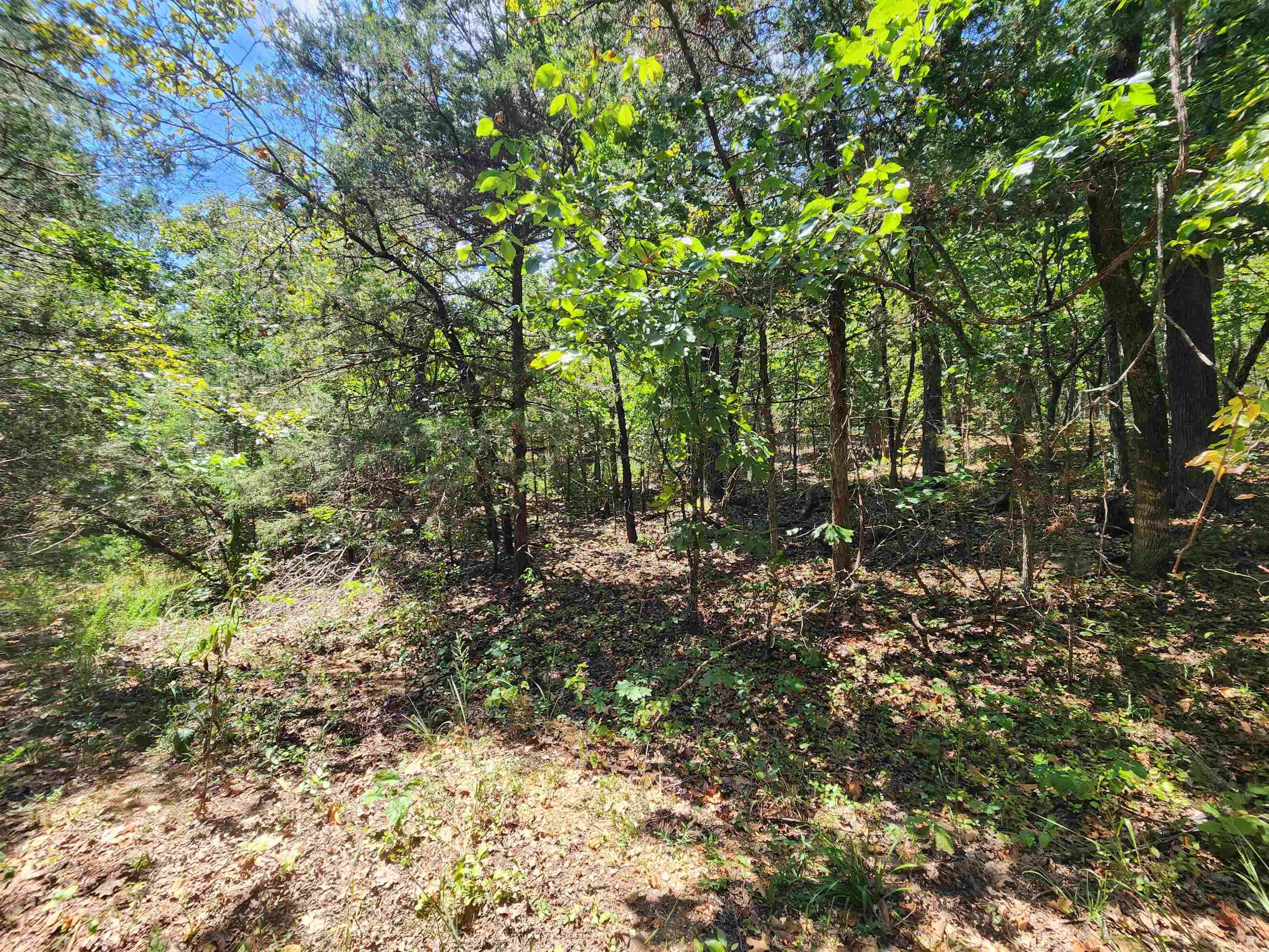 Cherokee Village - Land