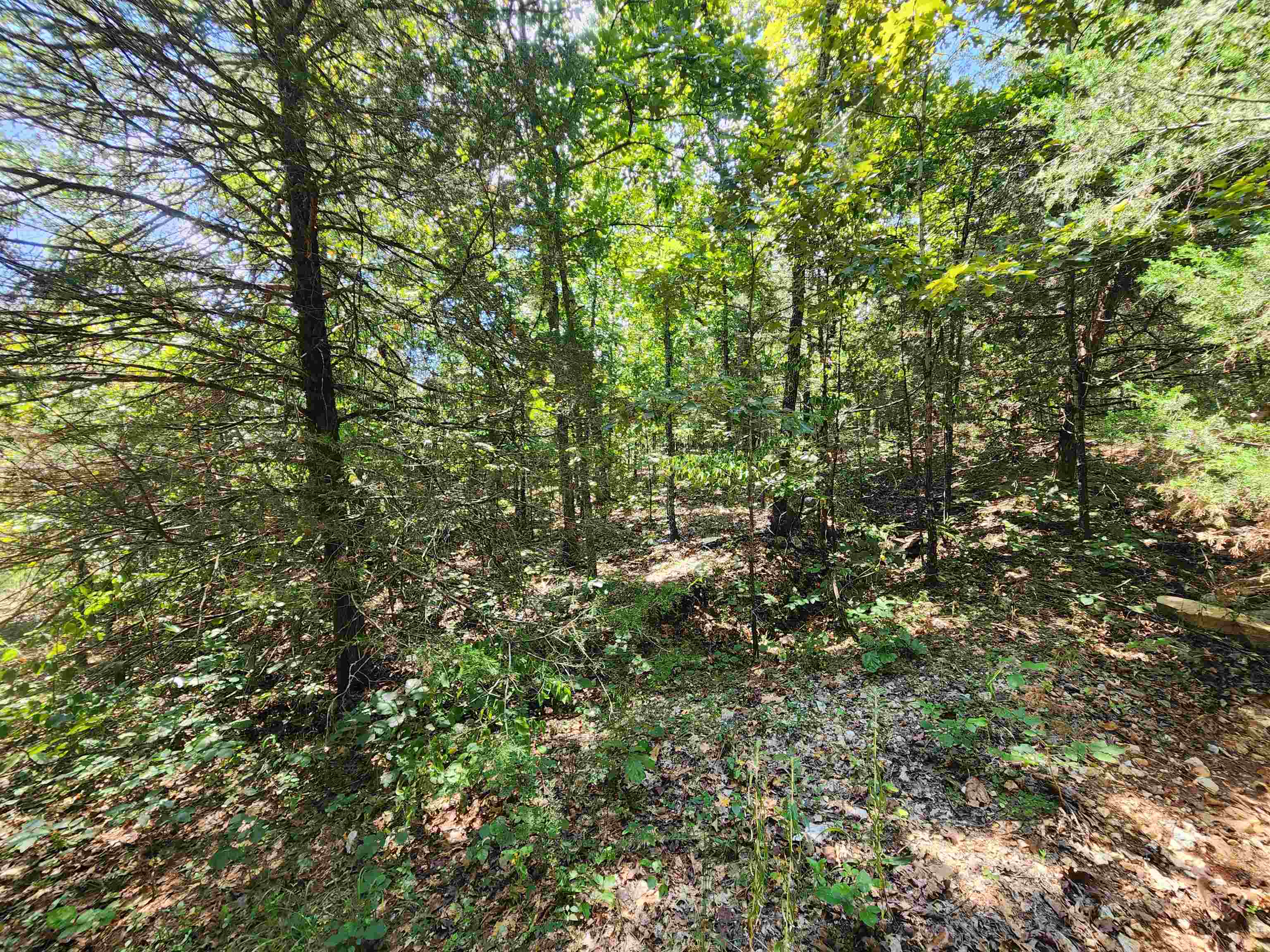 Cherokee Village - Land