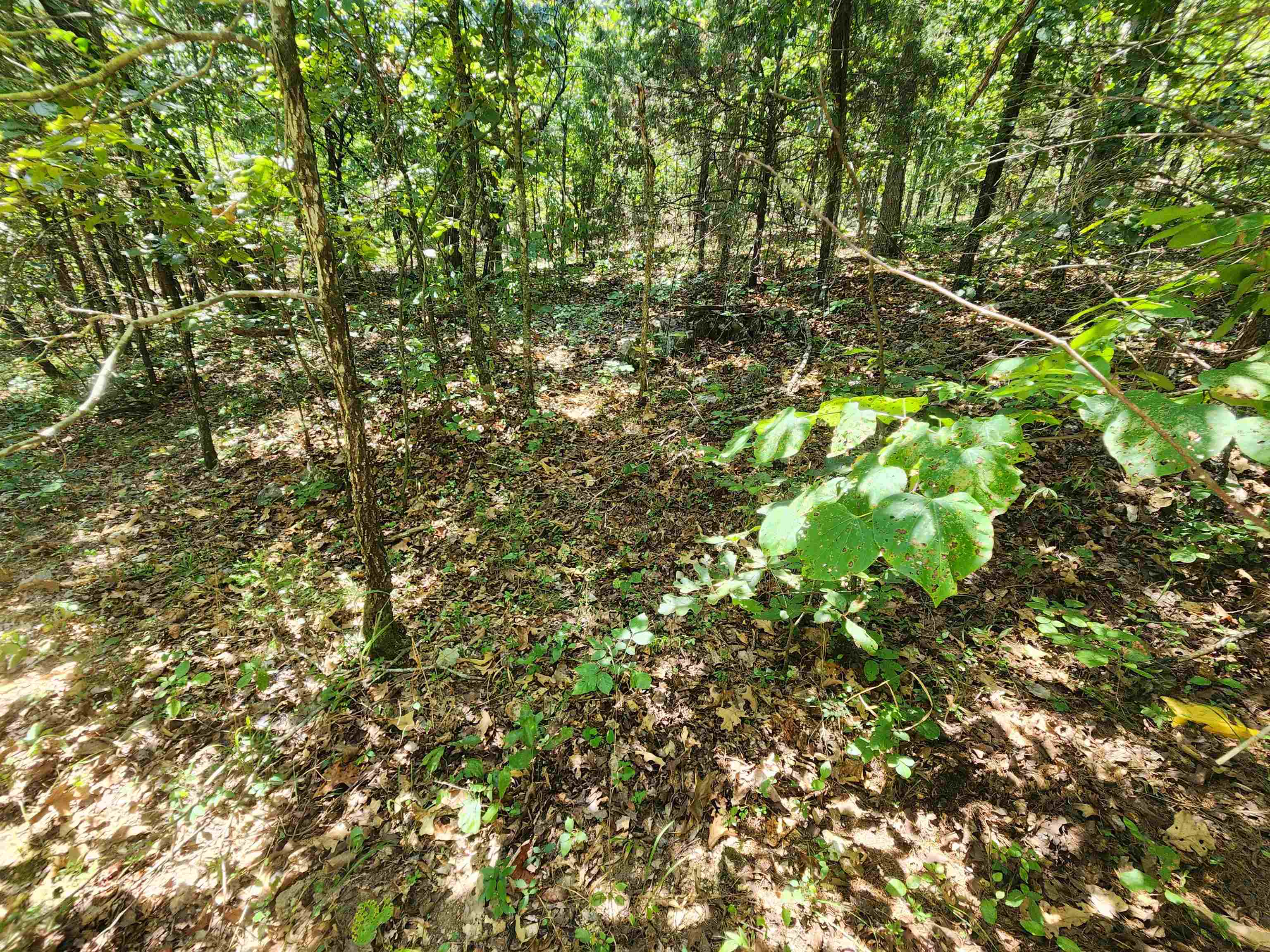 Cherokee Village - Land