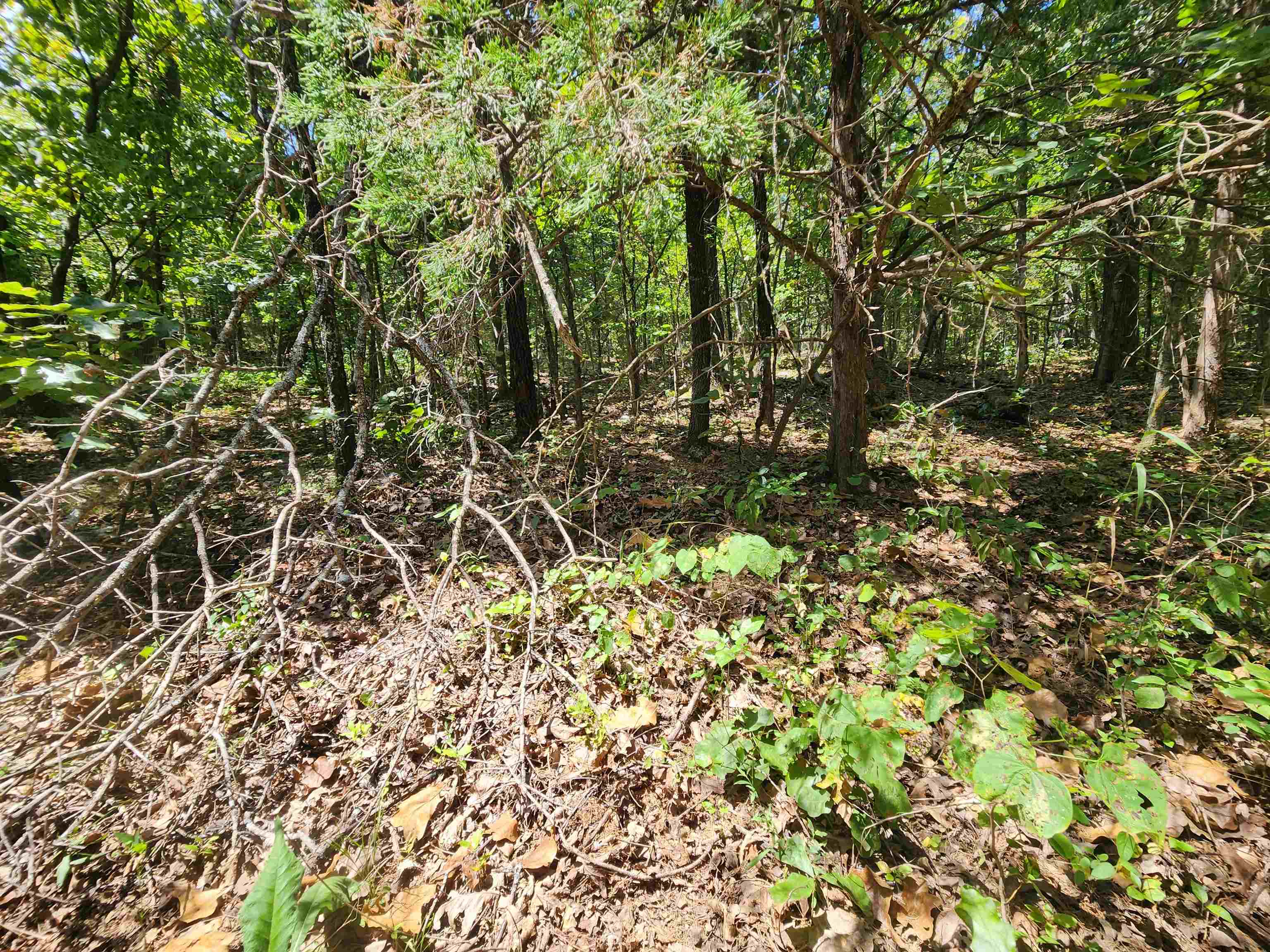 Cherokee Village - Land