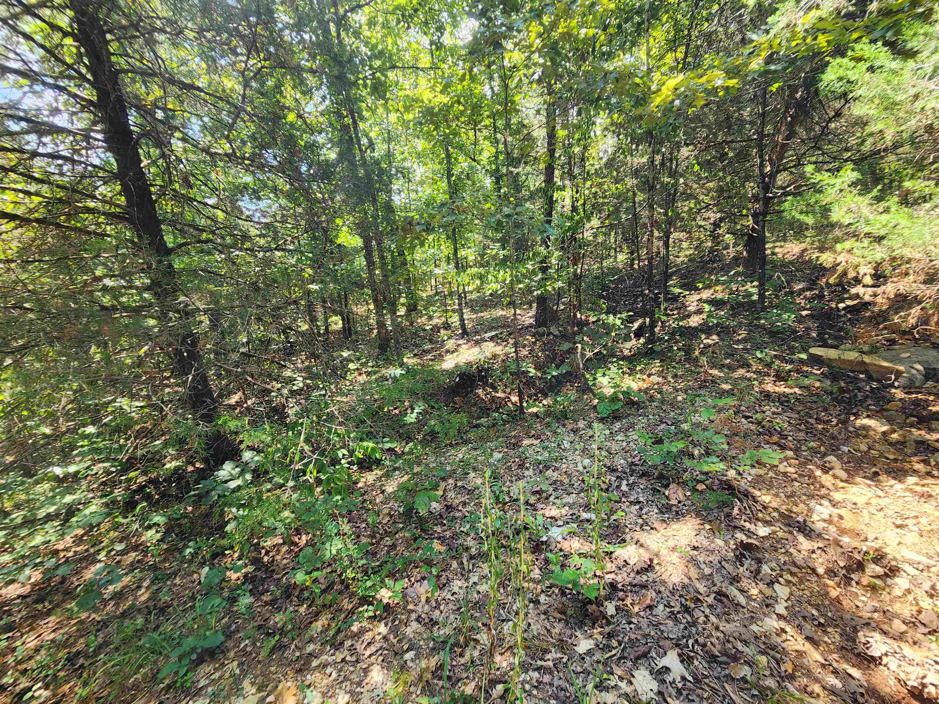 Cherokee Village - Land