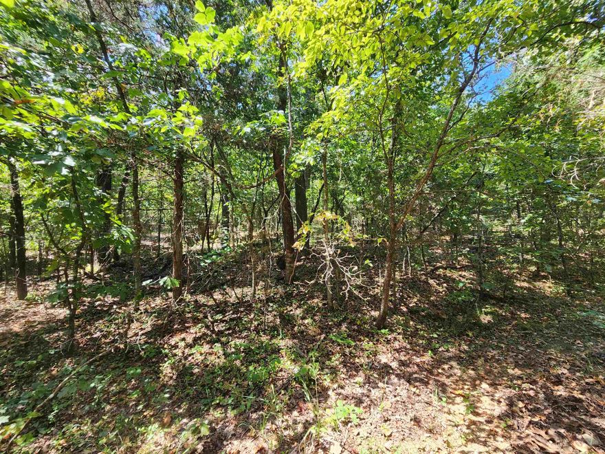 This is a decent sized gift lot. No Cherokee Village Restrictions. No SID tax. Go camping if you want to. Nature lovers dream. In the heart of woods. There are no city maintained roads to get to this property. Close to town but deep in the woods. Pitch a tent. Build an offgrid tiny home. Do what you want inside the laws of the city of Highland and the State of Arkansas.