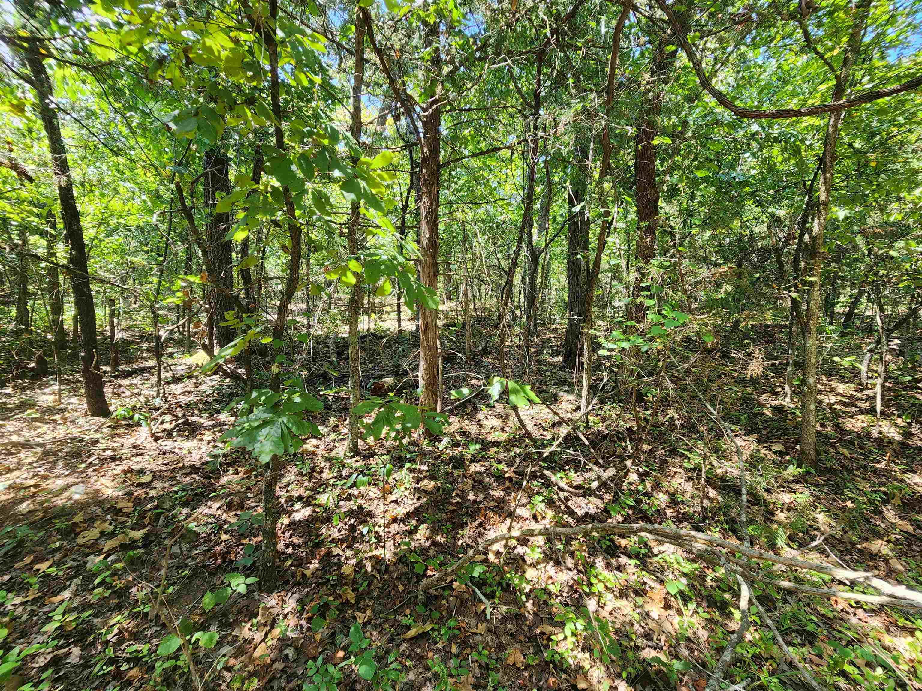 Cherokee Village - Land