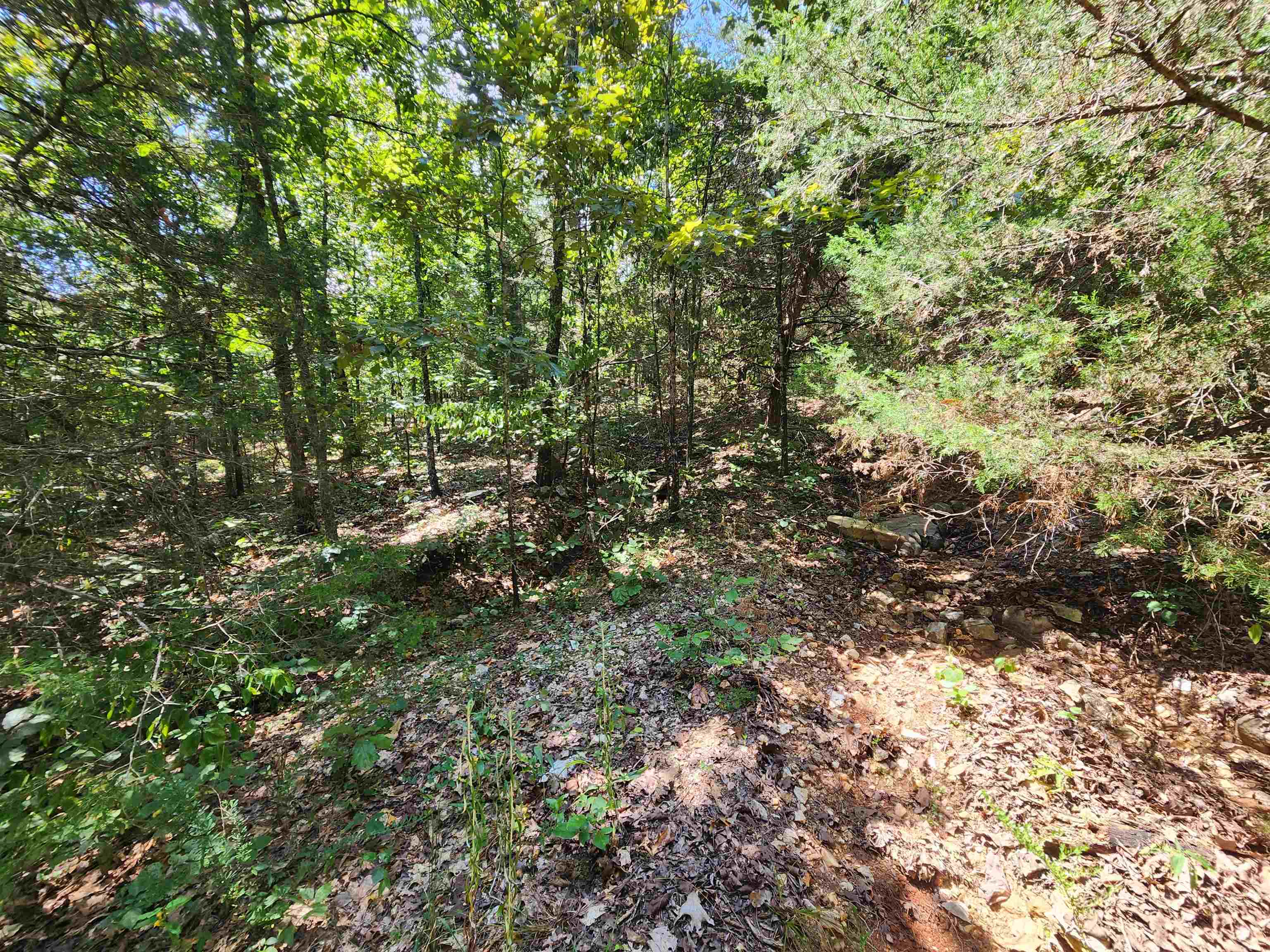 Cherokee Village - Land