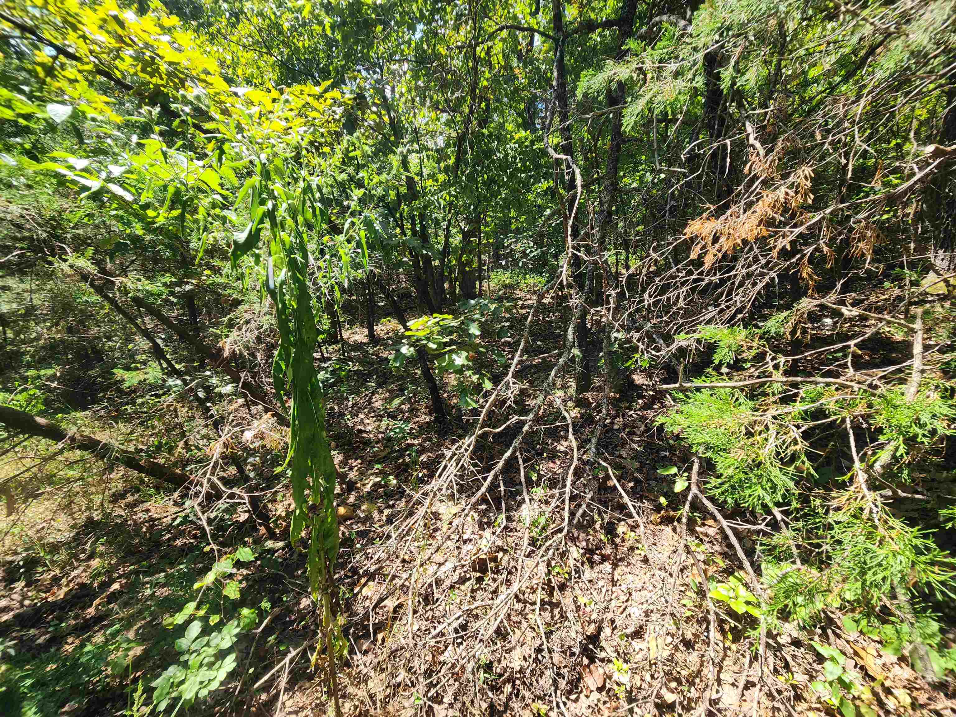 Cherokee Village - Land