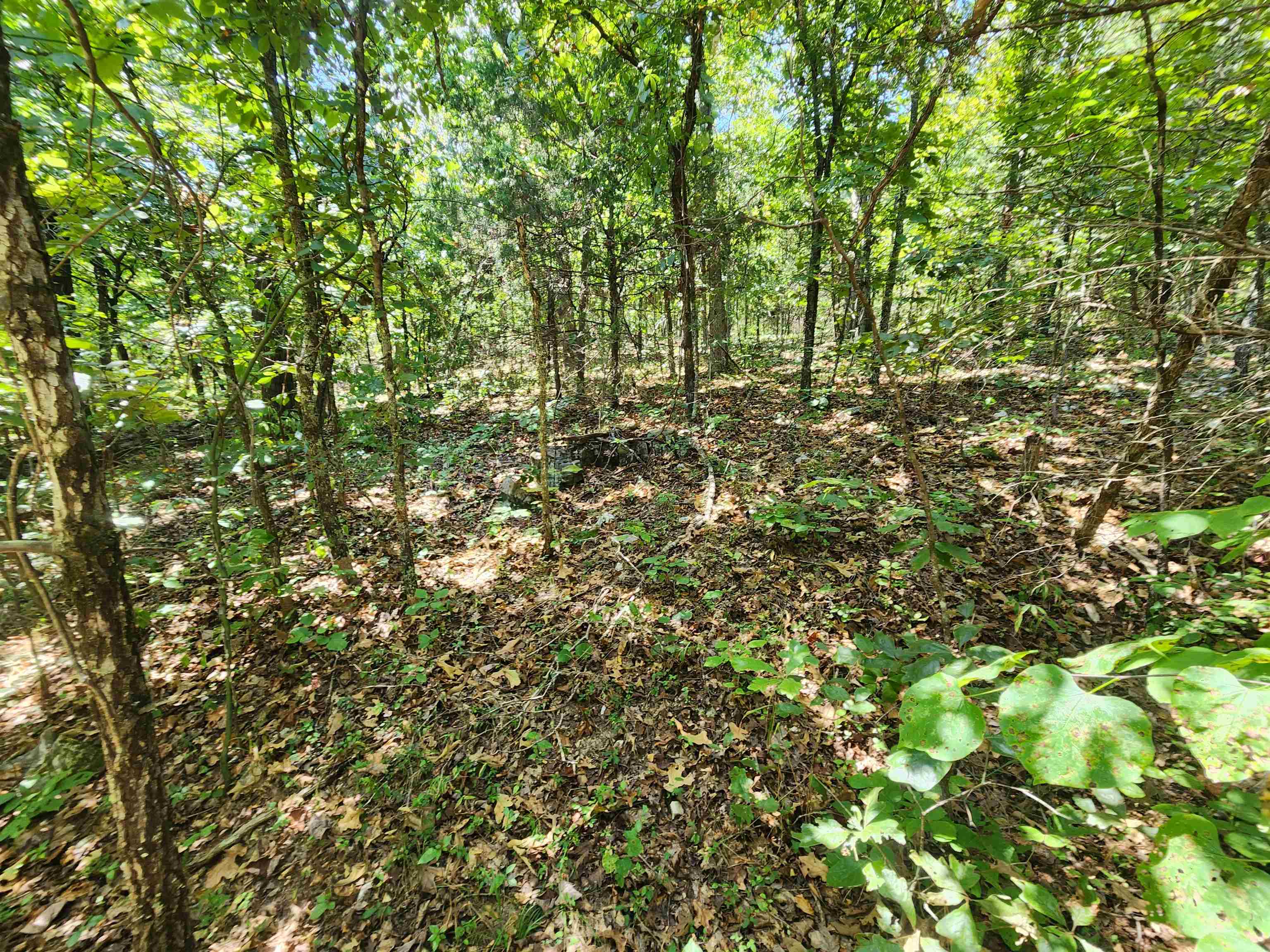 Cherokee Village - Land