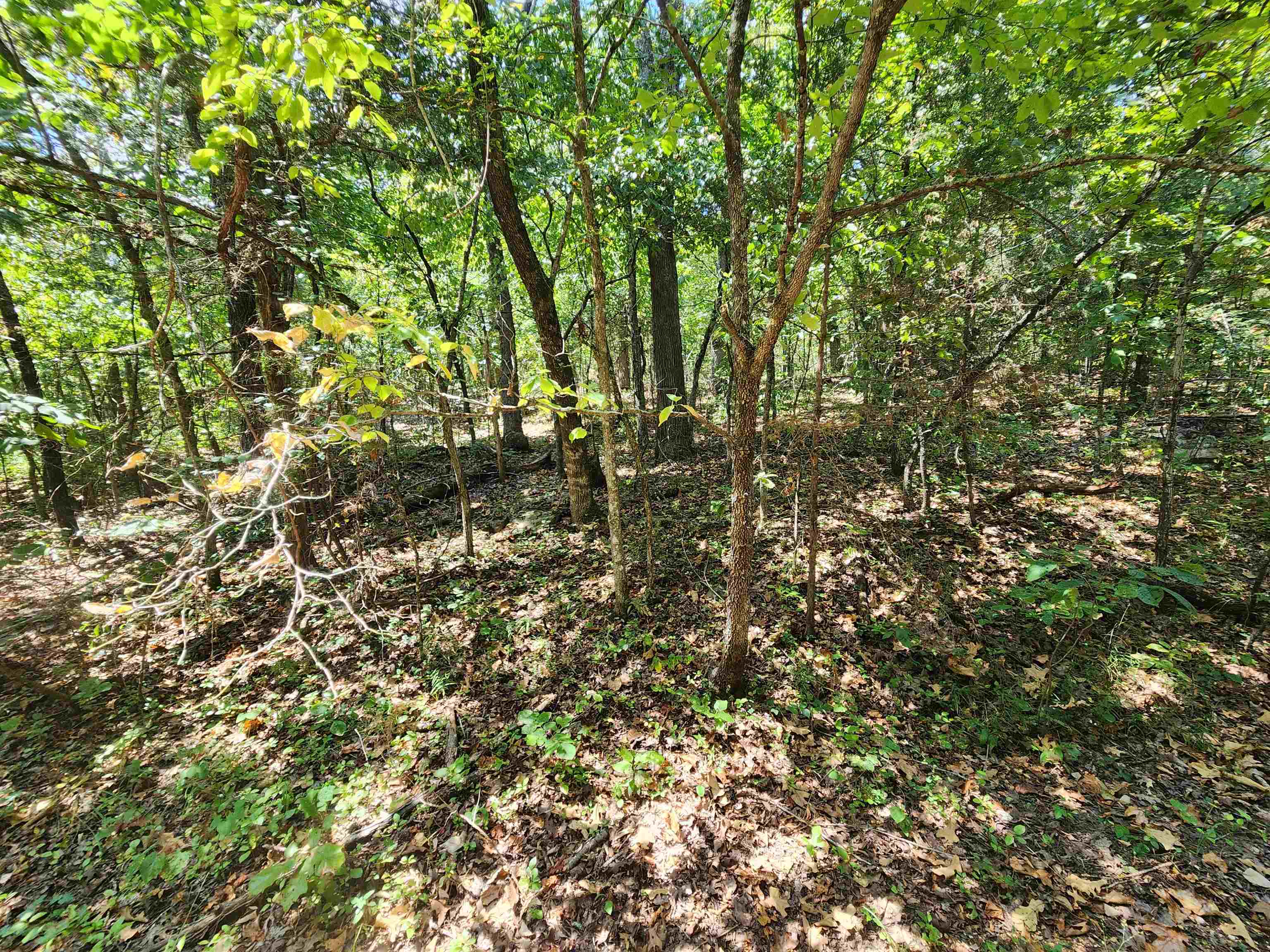 Cherokee Village - Land