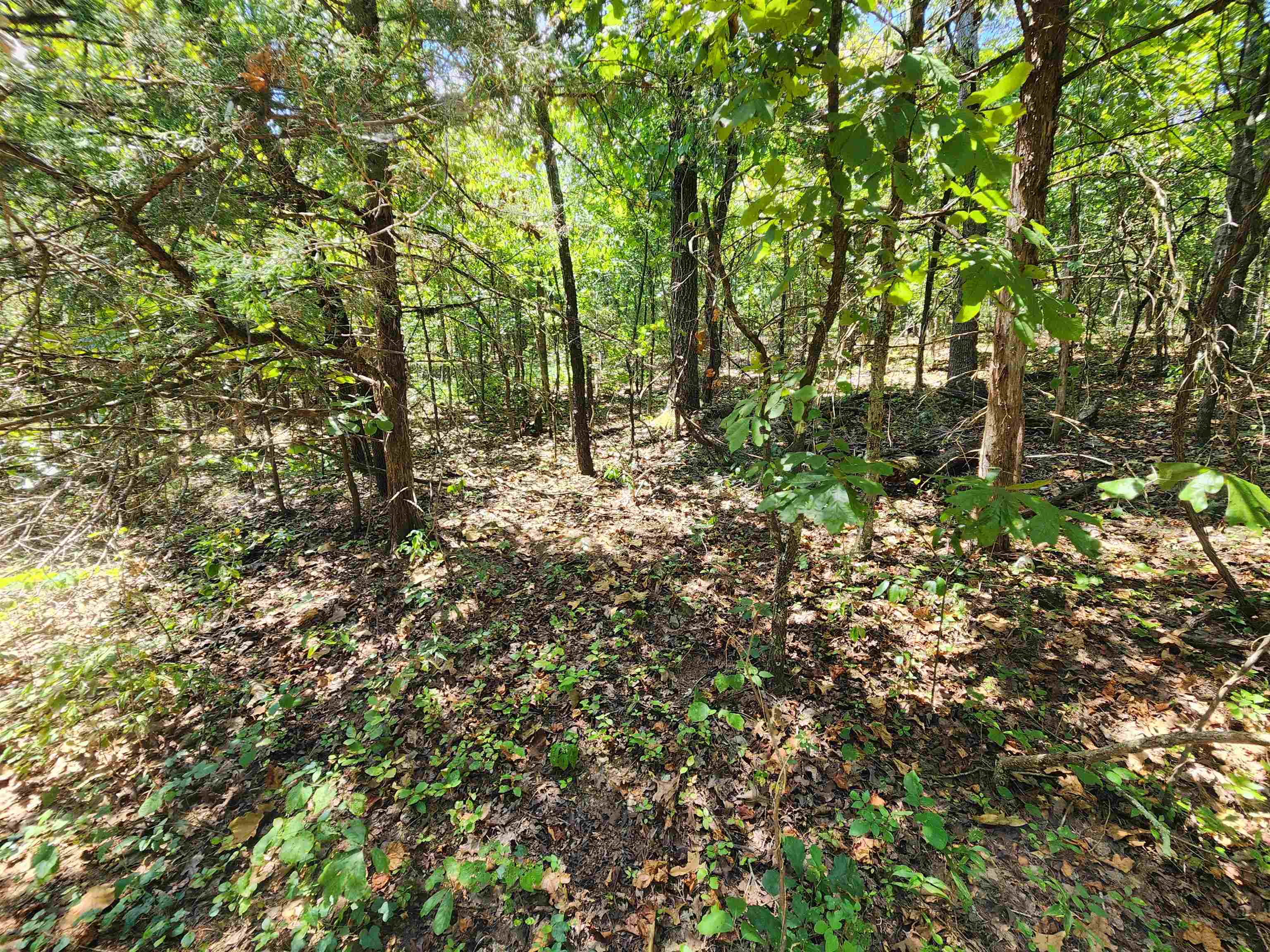 Cherokee Village - Land