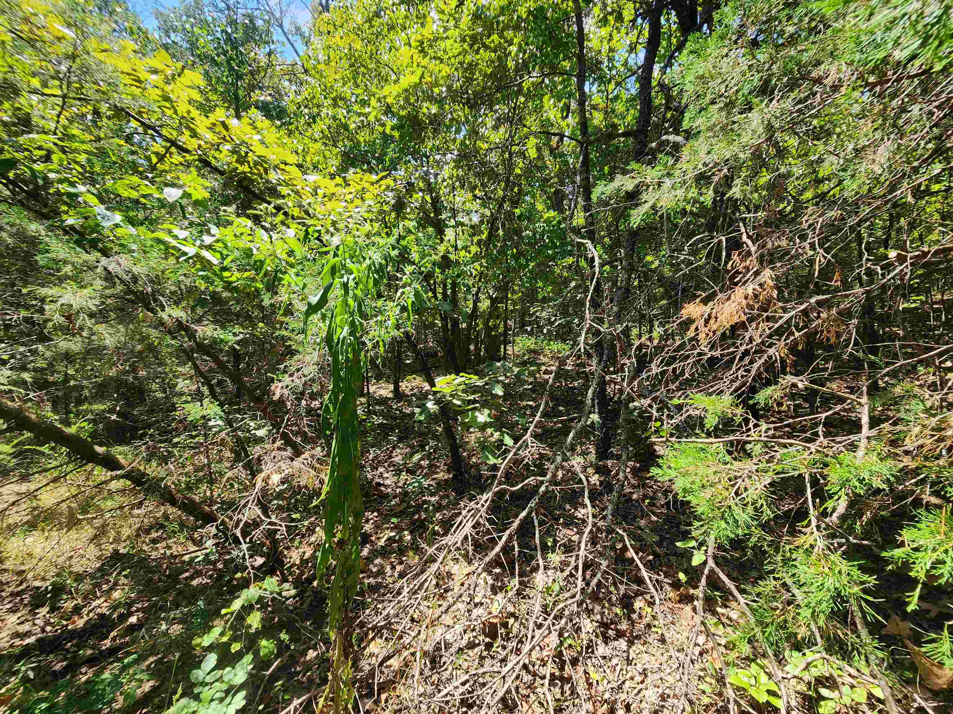 Cherokee Village - Land