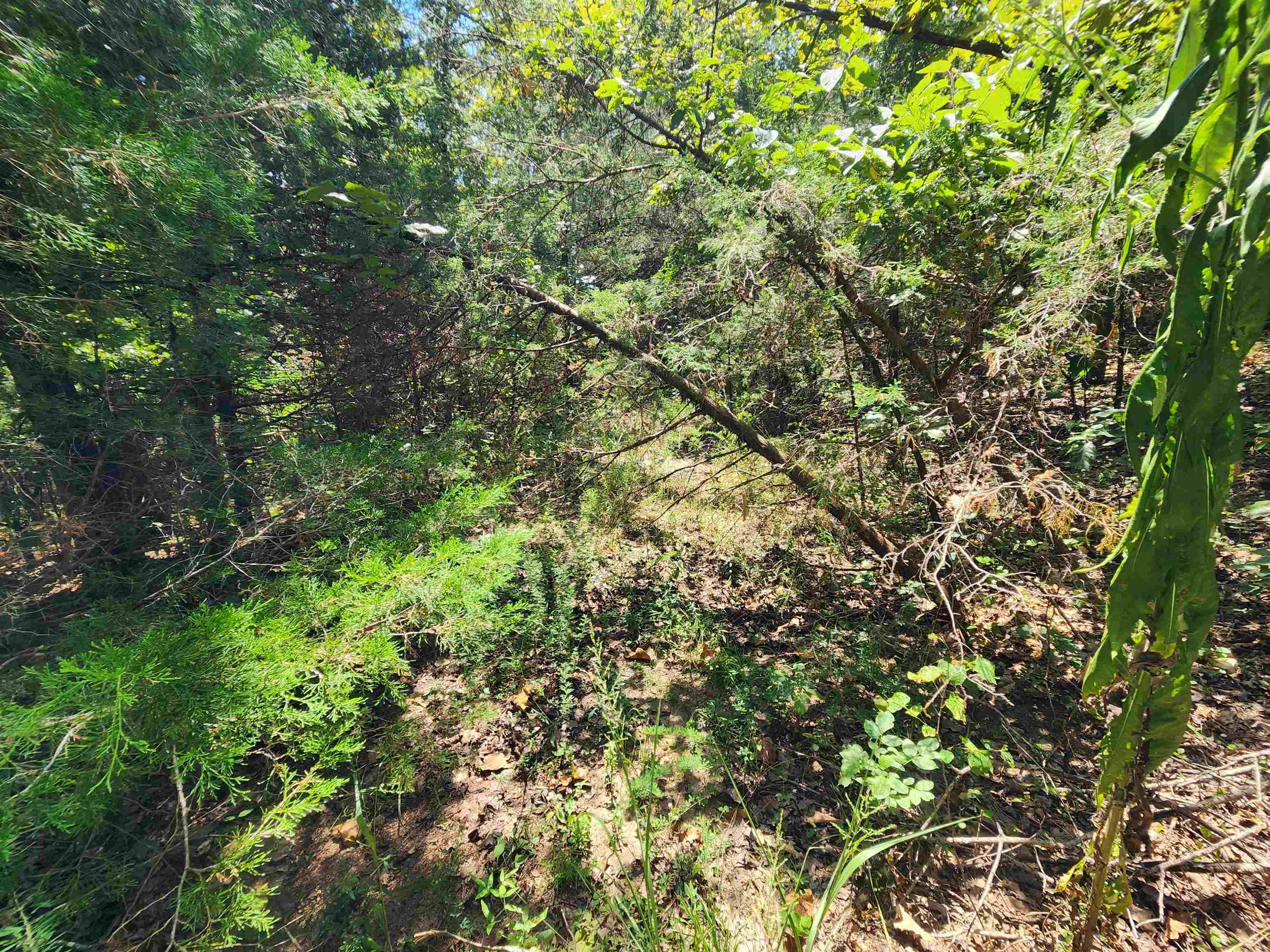 Cherokee Village - Land