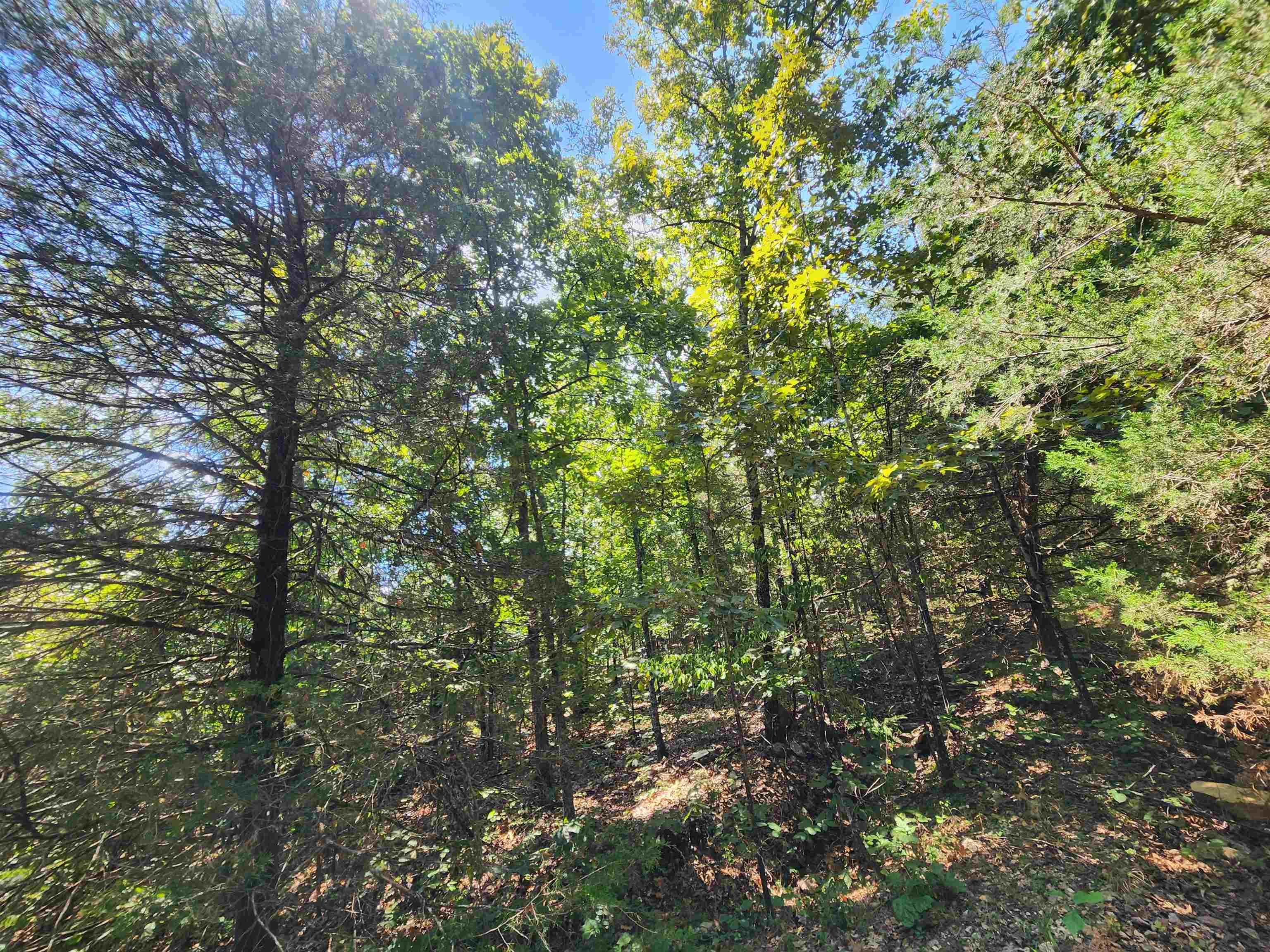 Cherokee Village - Land