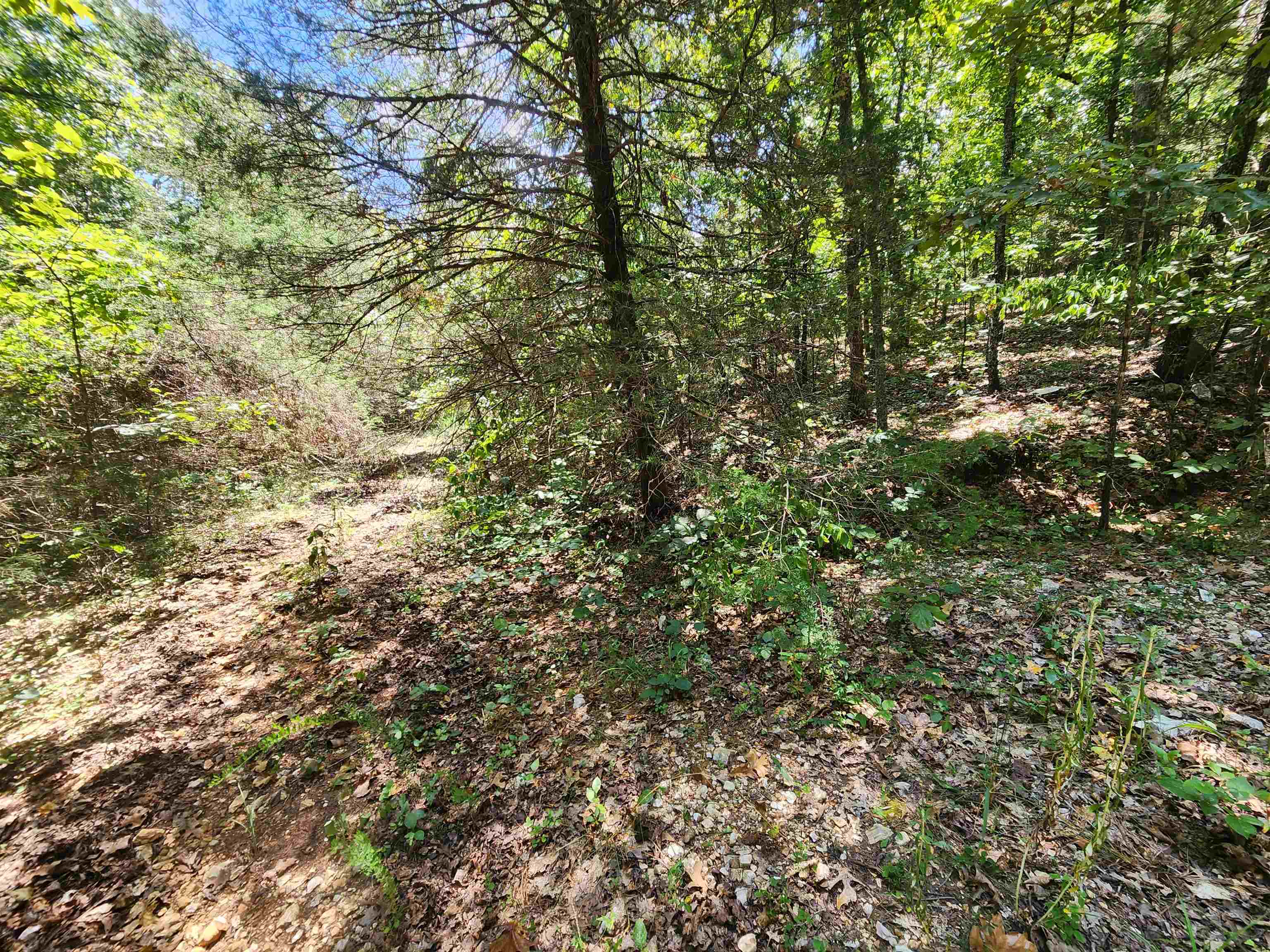 Cherokee Village - Land