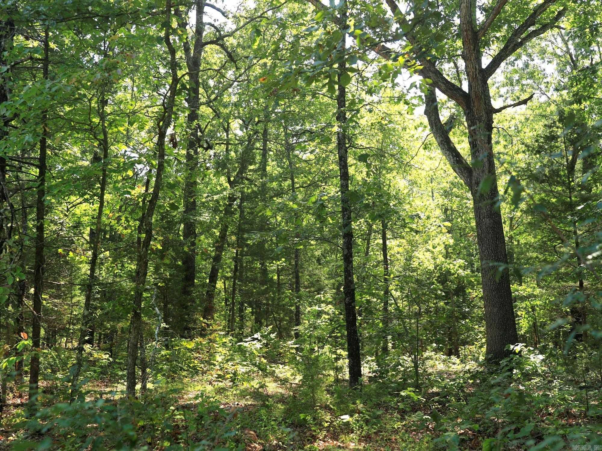 Build your new home on this .35 (+/-) acre lot that is walking distant to access the beach on Pioneer Lake. It is minutes from Crown and Diamond Lakes and also close to local amenities. No owner financing available. Mobile homes are not allowed. Call or text for more information.