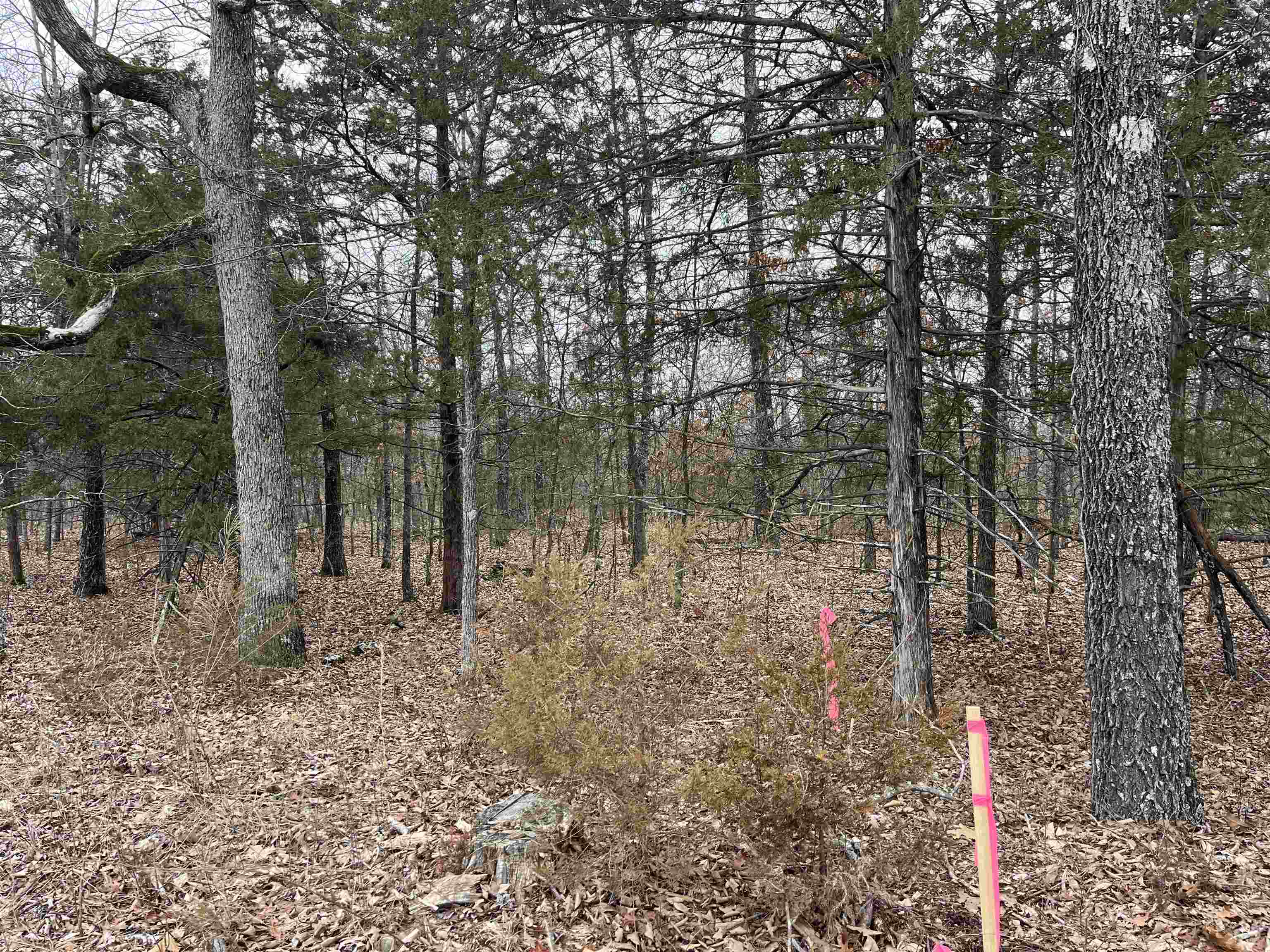 A rare find in Horseshoe Bend! A total of 0.74 acres on two adjoining lots on level ground, accessible via a paved road, with easy access to power and water. Recently surveyed and marked so you know what you are buying! If you want to build your dream home or getaway place, you won't find many options with this much buildable space at this price. Located on the outskirts of the city limits and less than 10 minutes from Diamond and Crown Lakes. It would be a great place to build your next home!