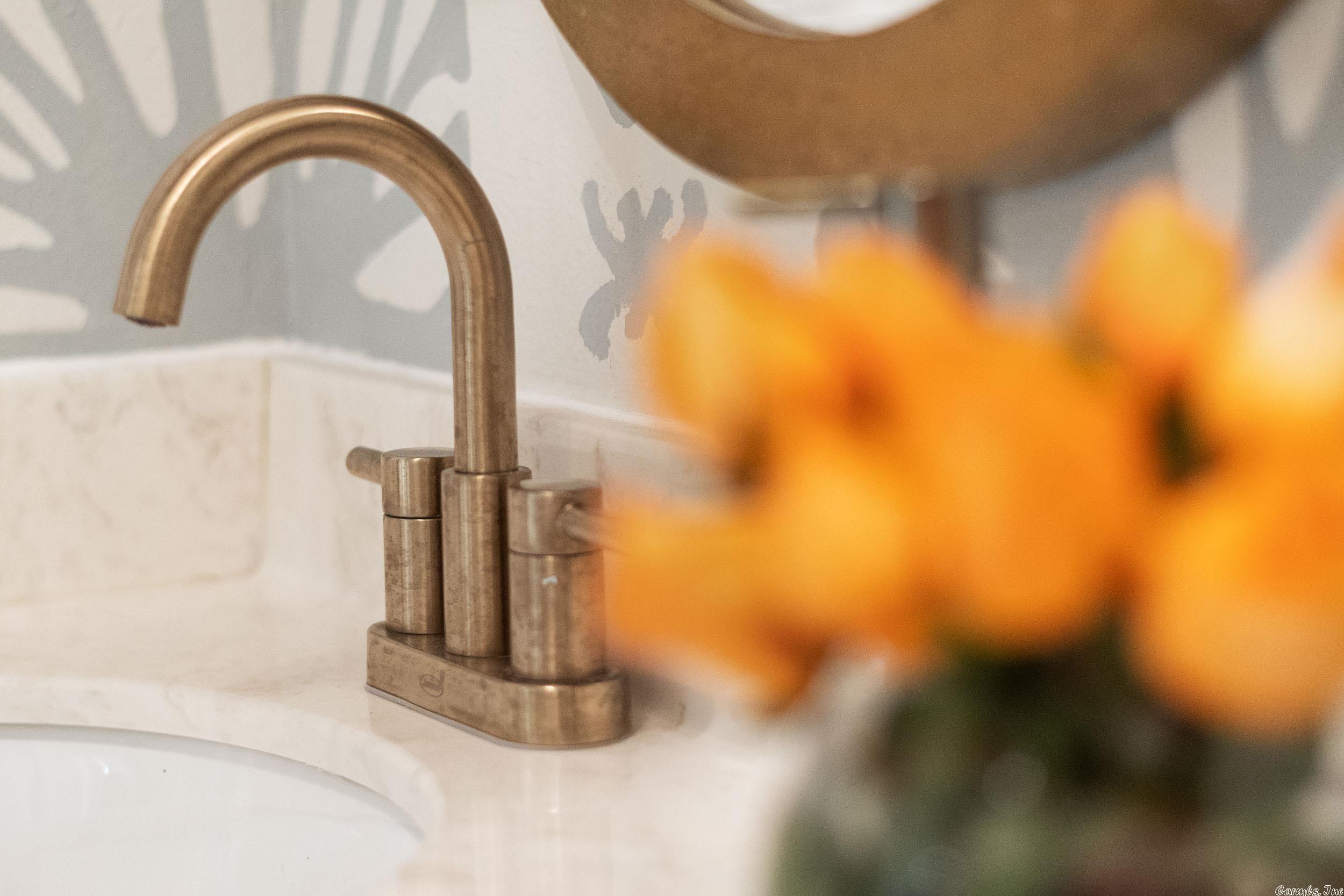 THE VILLAGES OF WELLINGTON - Residential