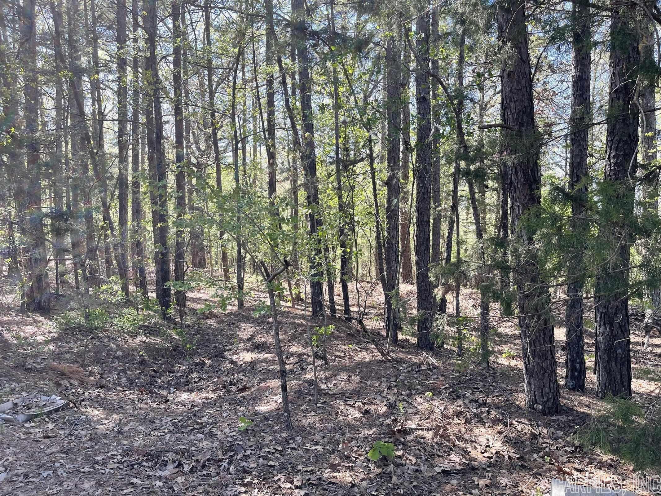 STILL HOUSE HILL - Residential