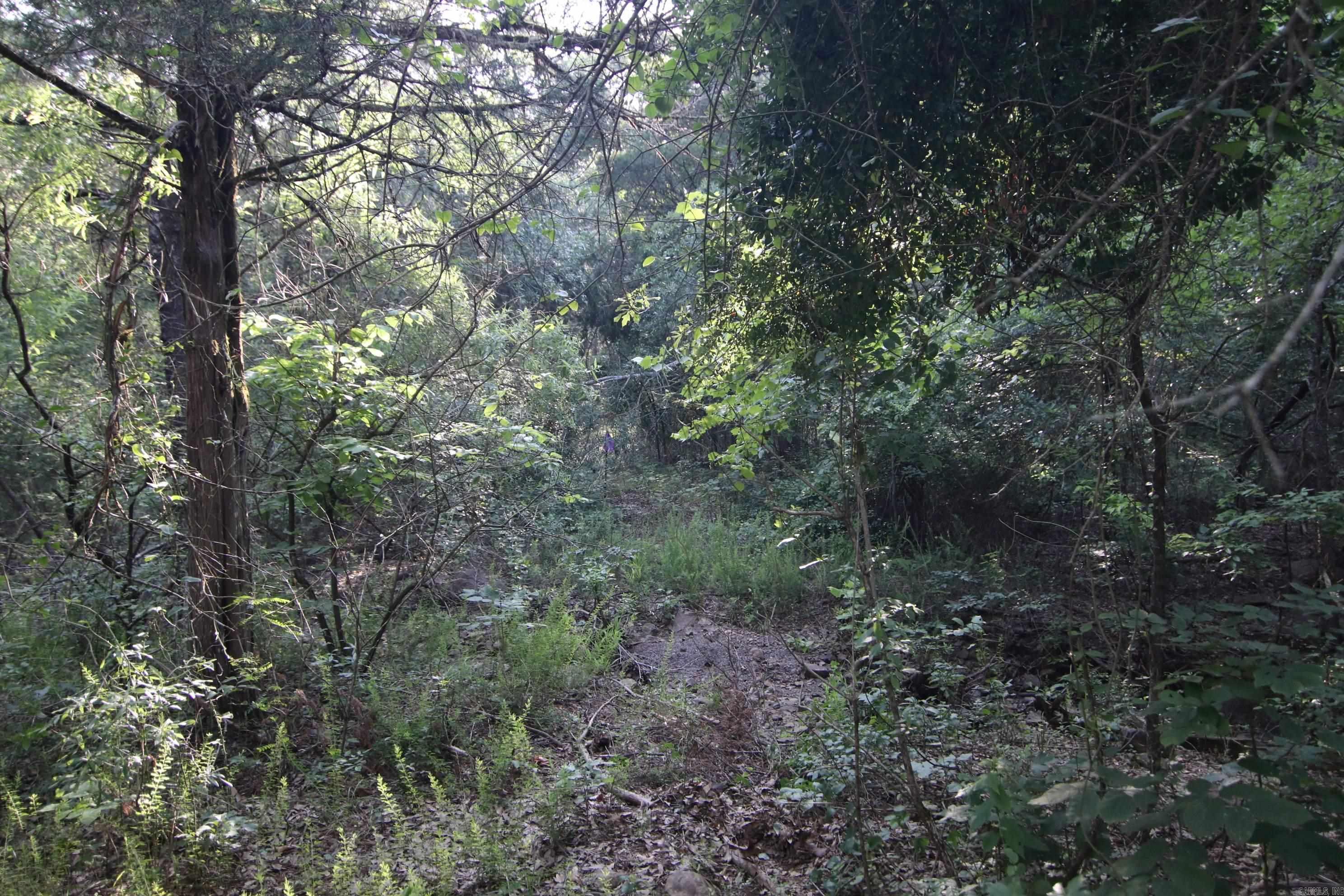 Deer Run Acres - Land