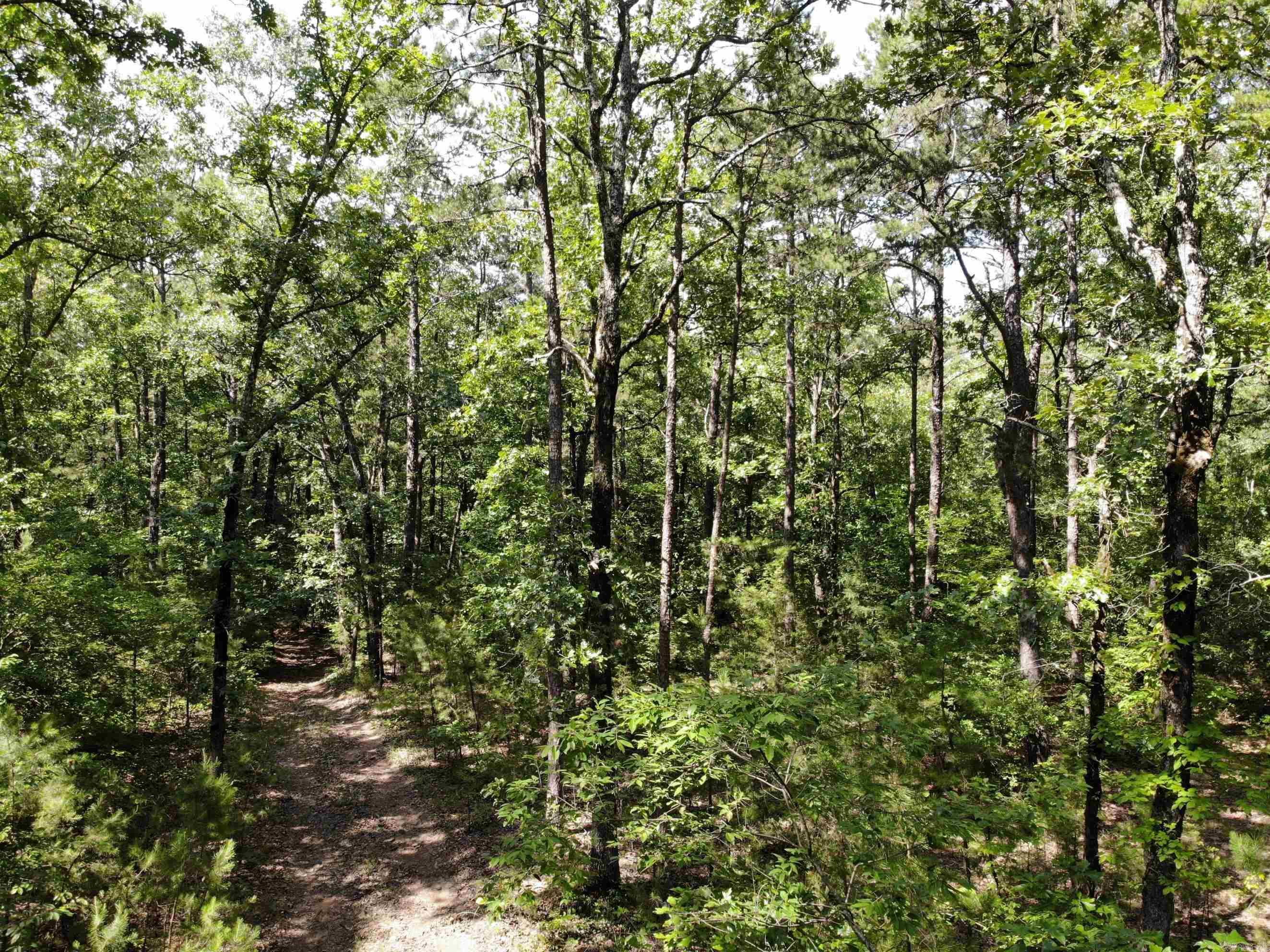 Deer Run Acres - Land